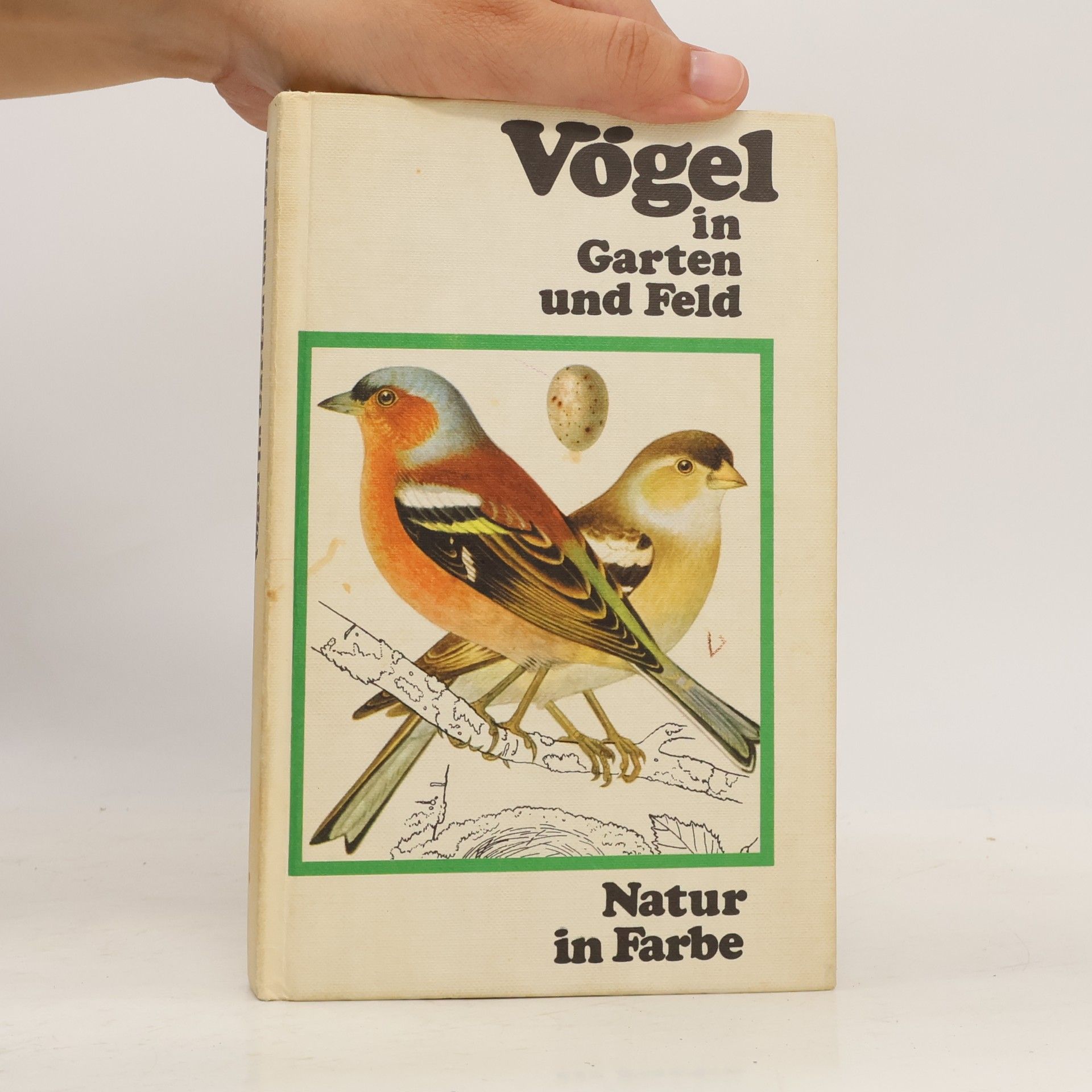 Kolektiv autorů Vögel in Garten und Feld. Natur in Farbe