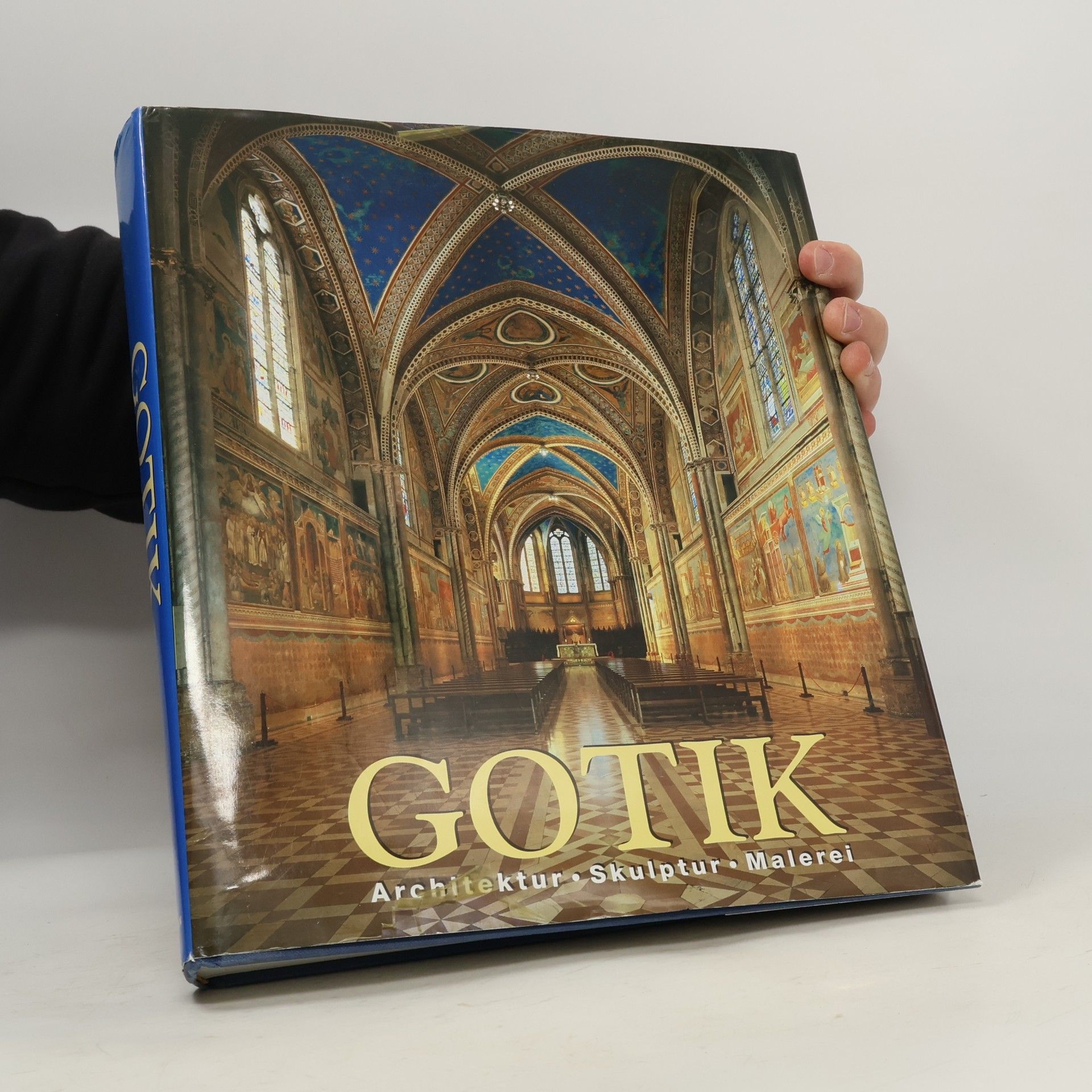 Rolf Toman Gotik. Architektur - Skulptur - Malerei