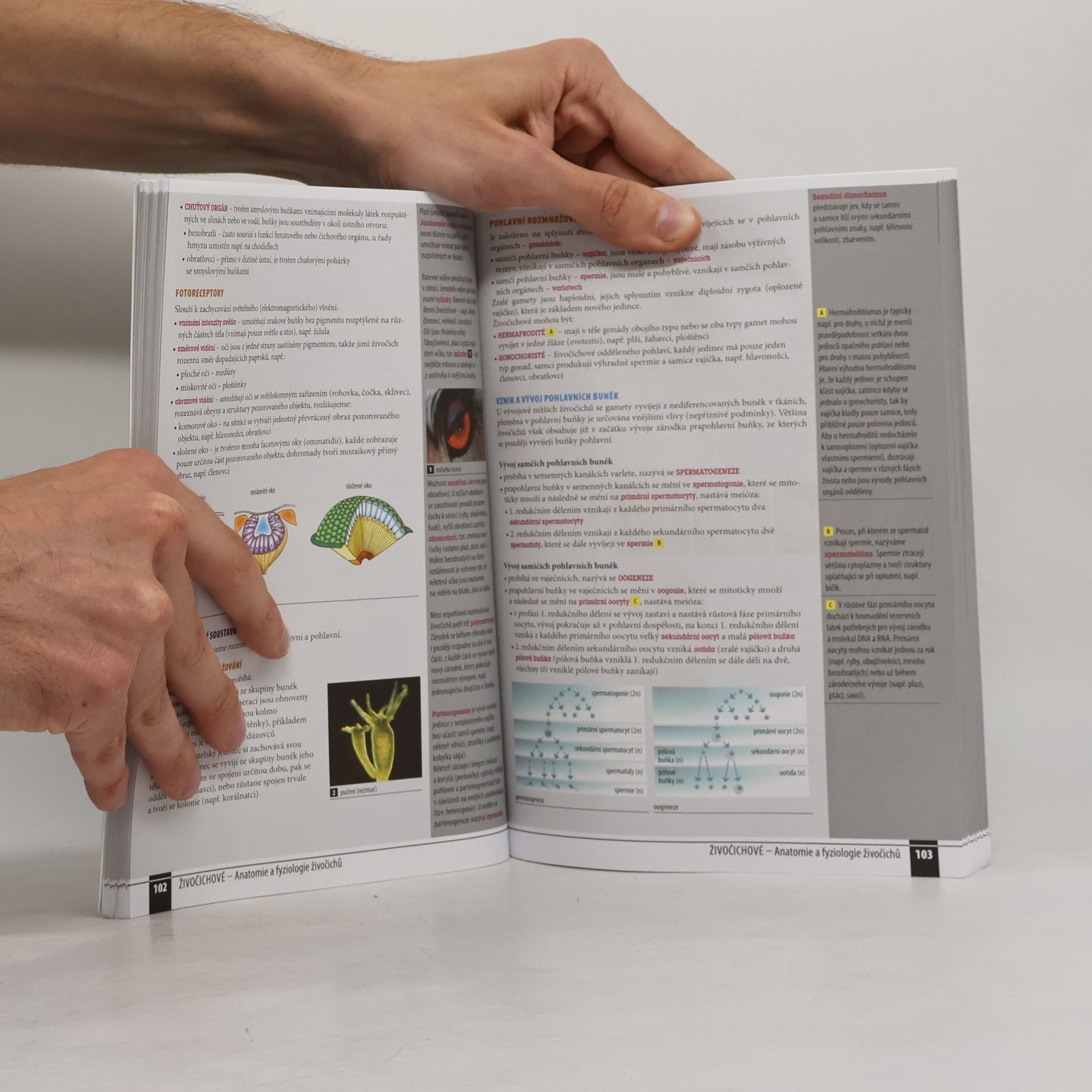 Collectif d'auteurs Odmaturuj! z biologie