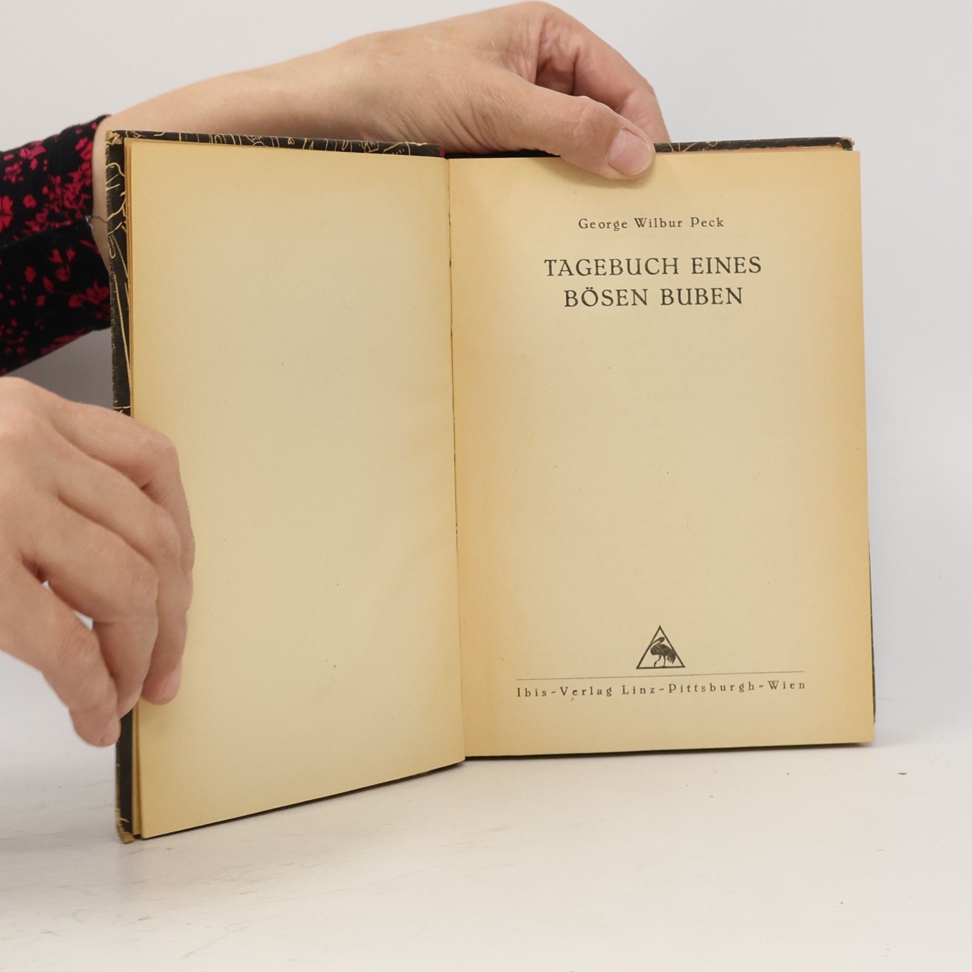 Geogre Wilbur Peck Tagebuch eines bösen Buben