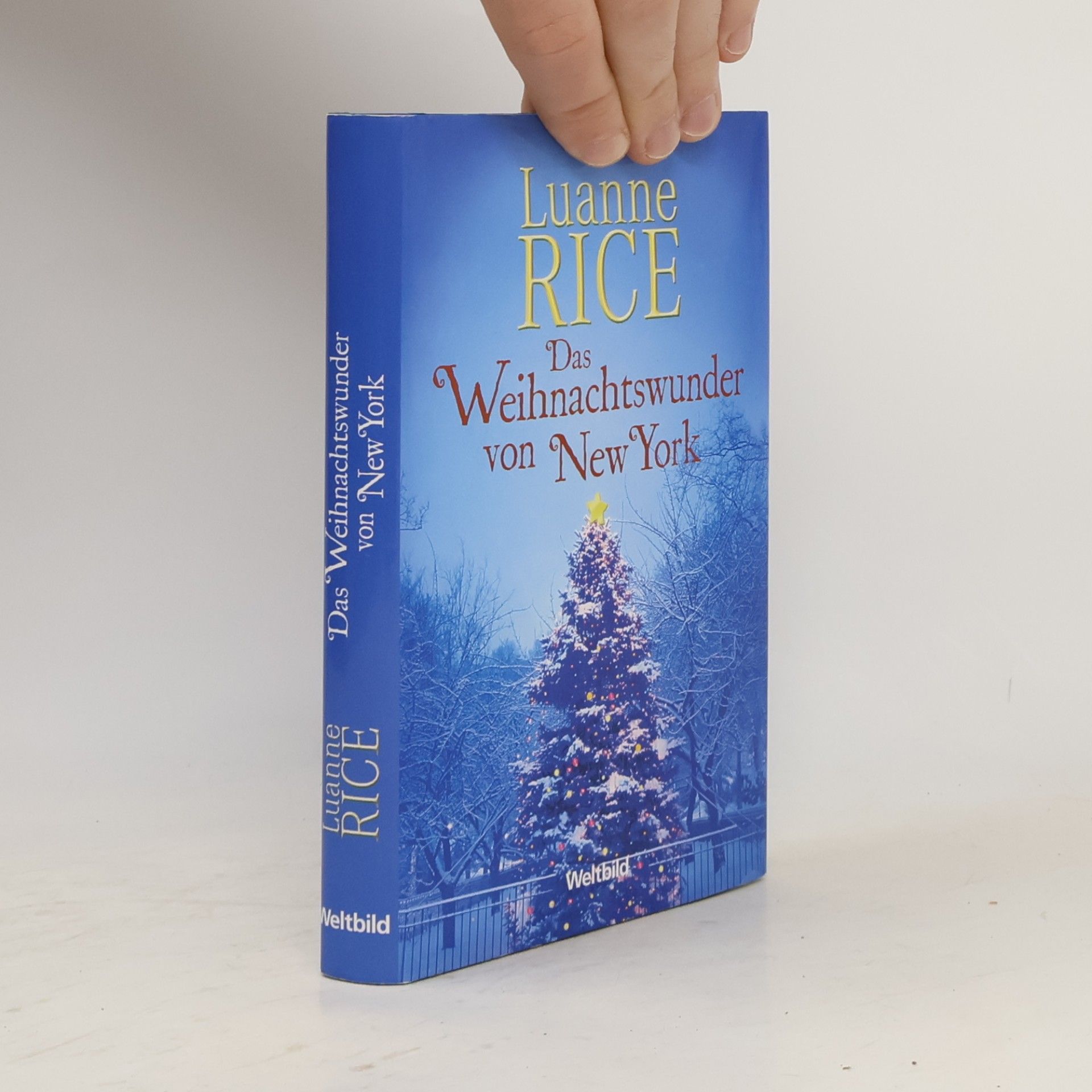 Luanne Rice Das Weihnachtswunder von New York