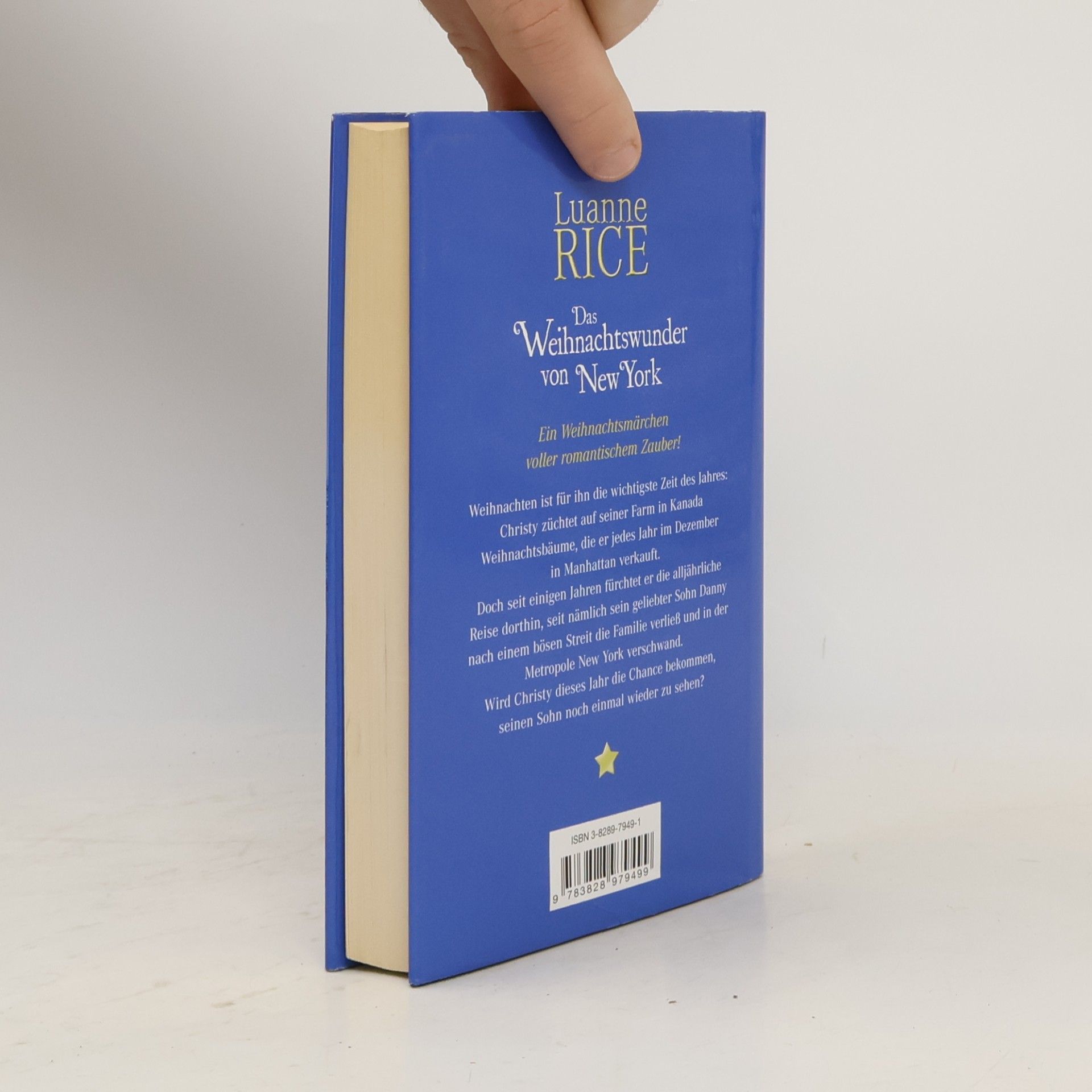 Luanne Rice Das Weihnachtswunder von New York