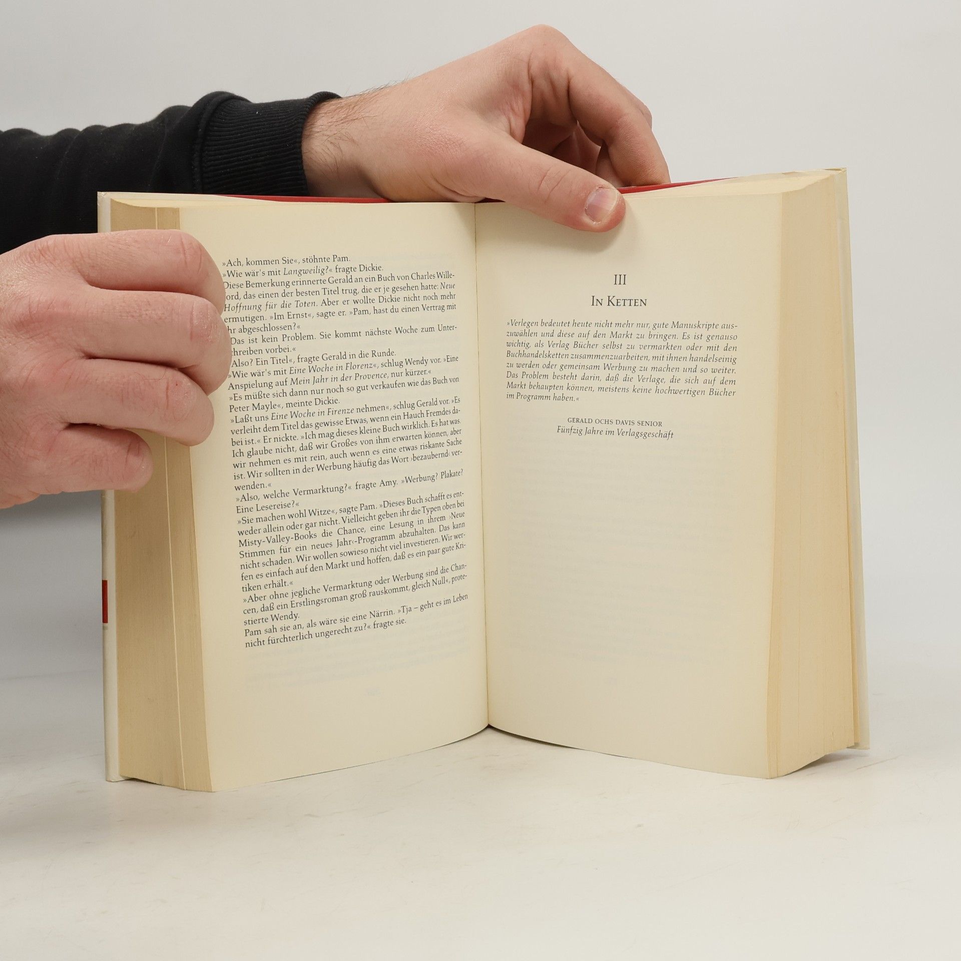 Olivia Goldsmith Der Bestseller