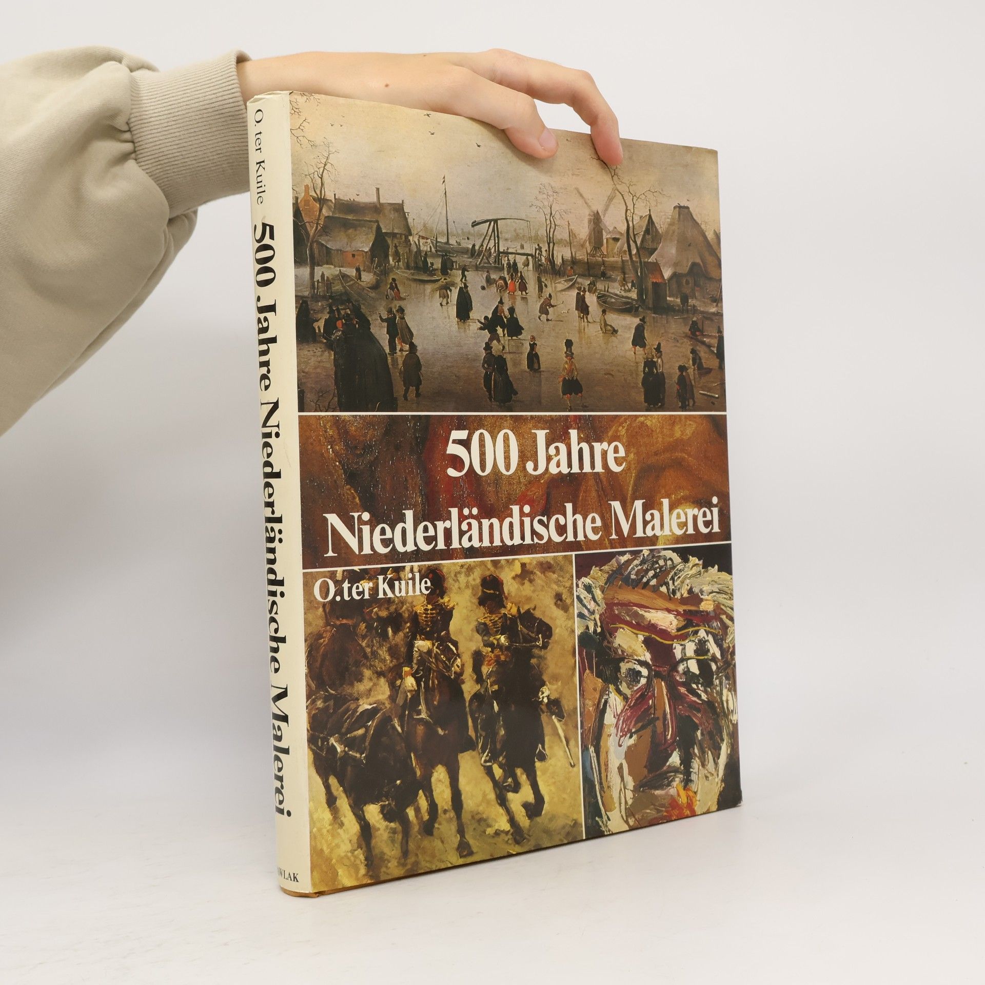 Onno ter Kuile 500 Jahre niederländische Malerei