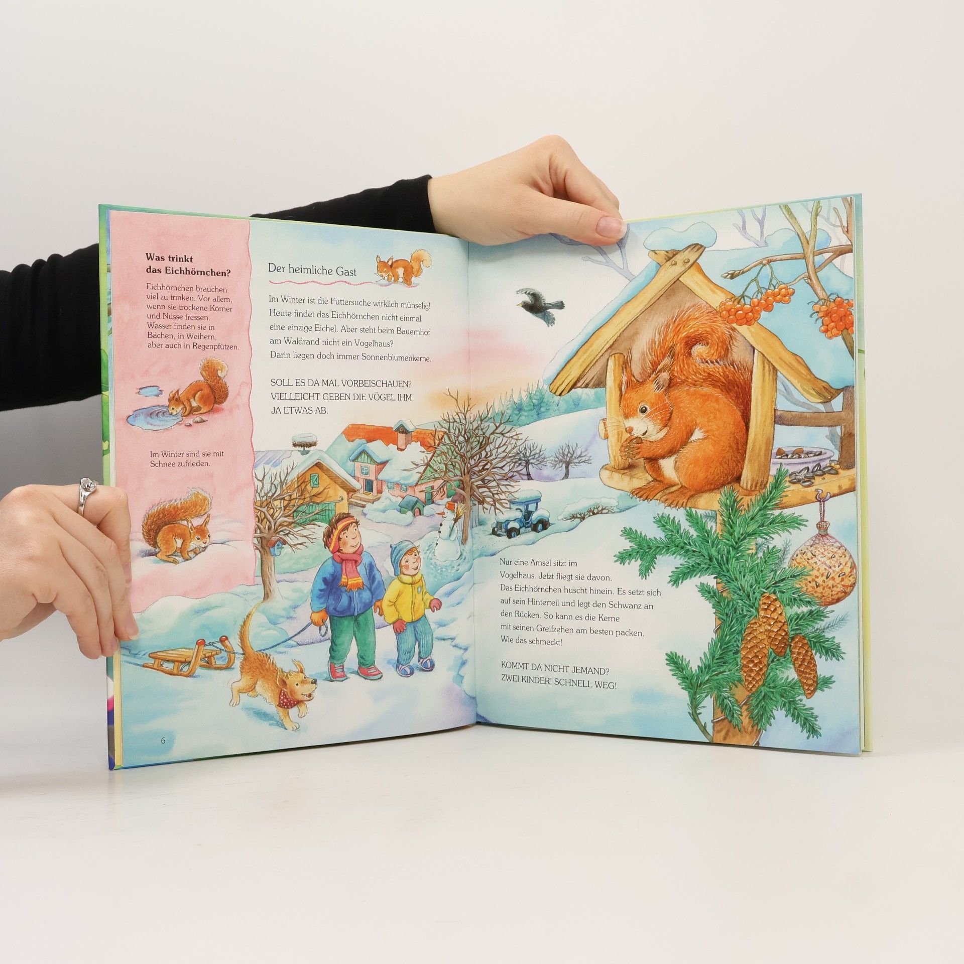 Friederun Reichenstetter So leben die kleinen Eichhörnchen, m. Audio-CD