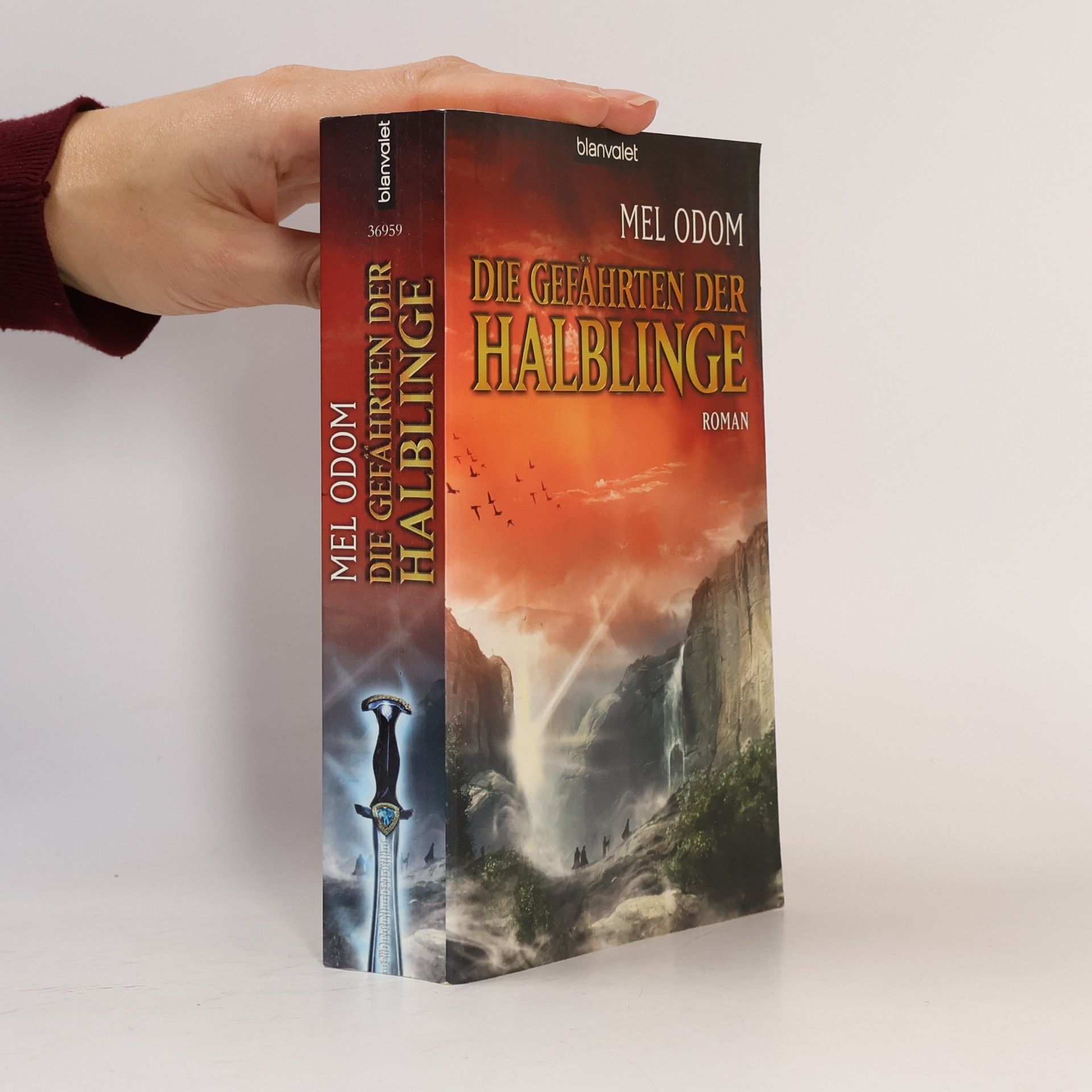 Mel Odom Die Gefährten der Halblinge