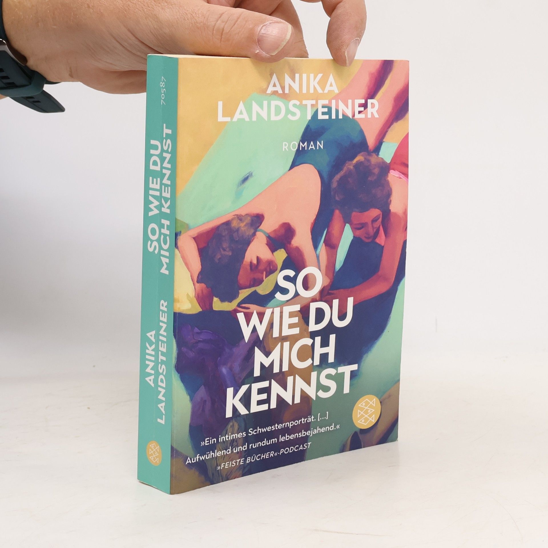 Anika Landsteiner So wie du mich kennst