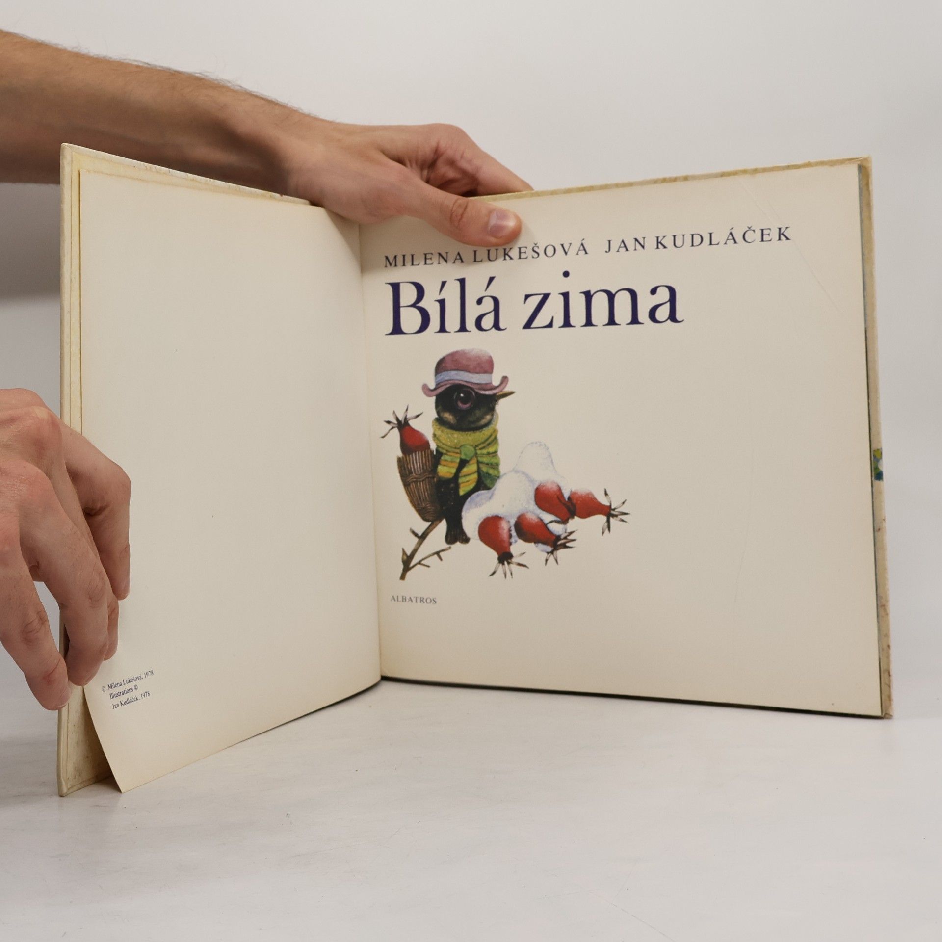 Milena Lukešová Bílá zima