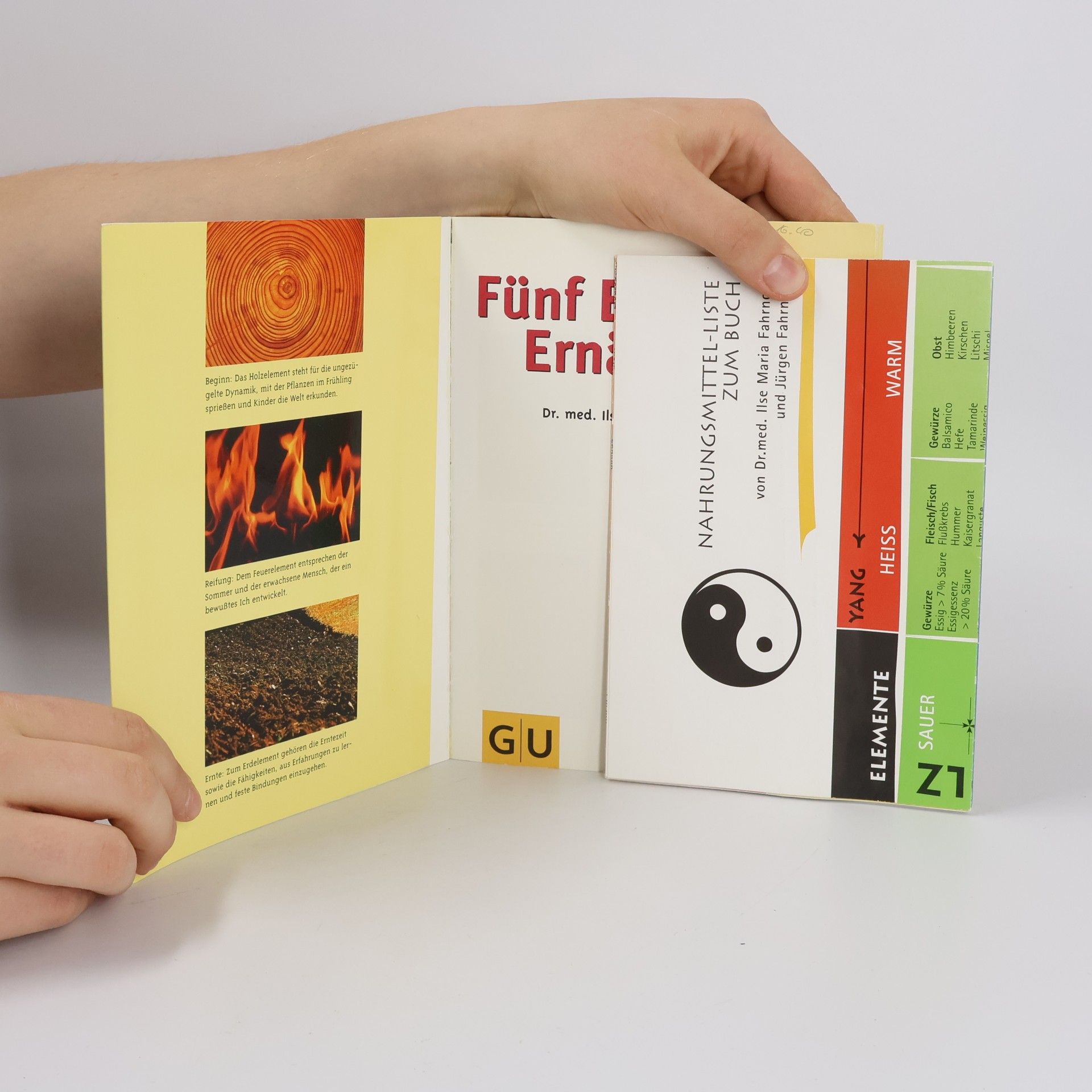 Ilse-Maria Fahrnow Fünf-Elemente-Ernährung