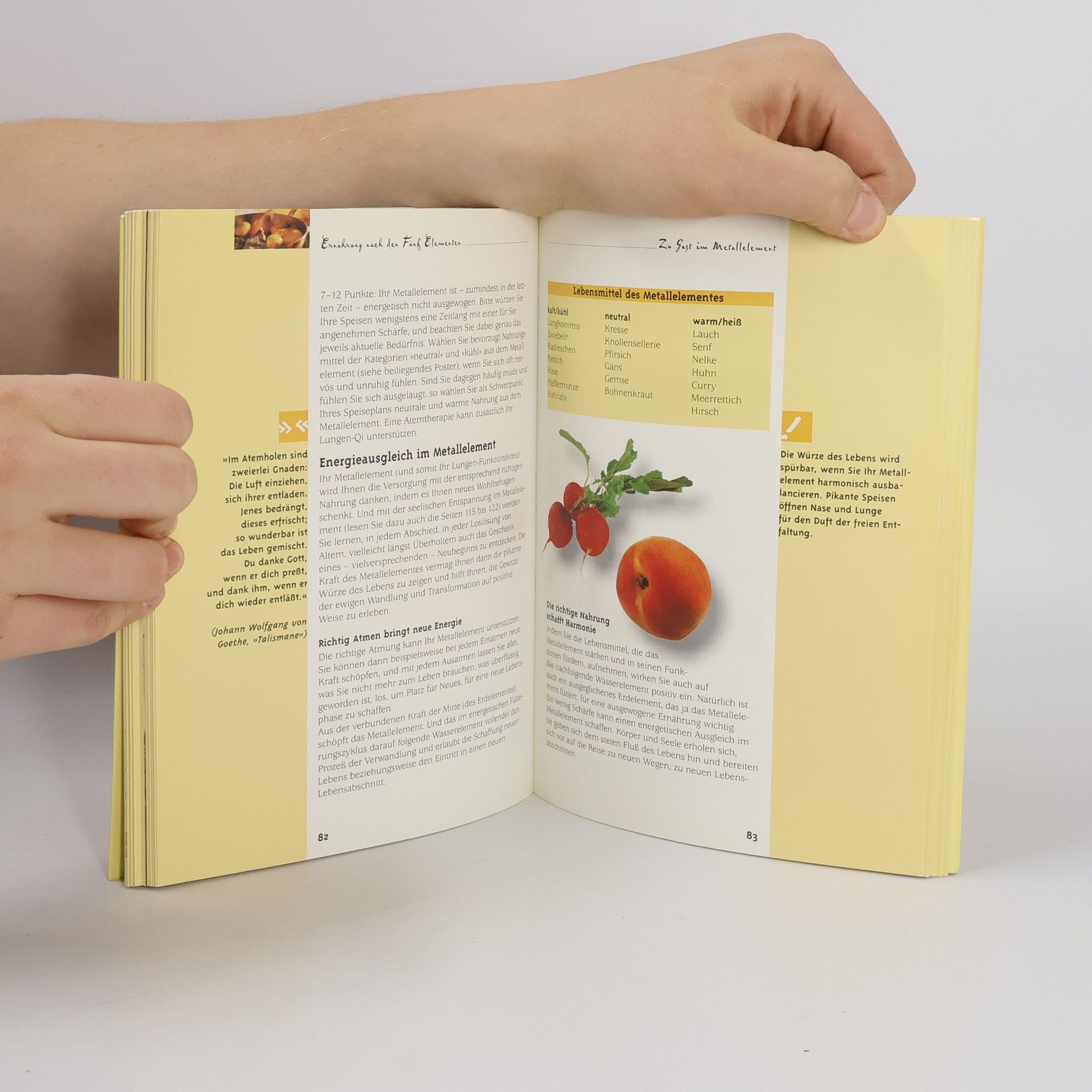 Ilse-Maria Fahrnow Fünf-Elemente-Ernährung