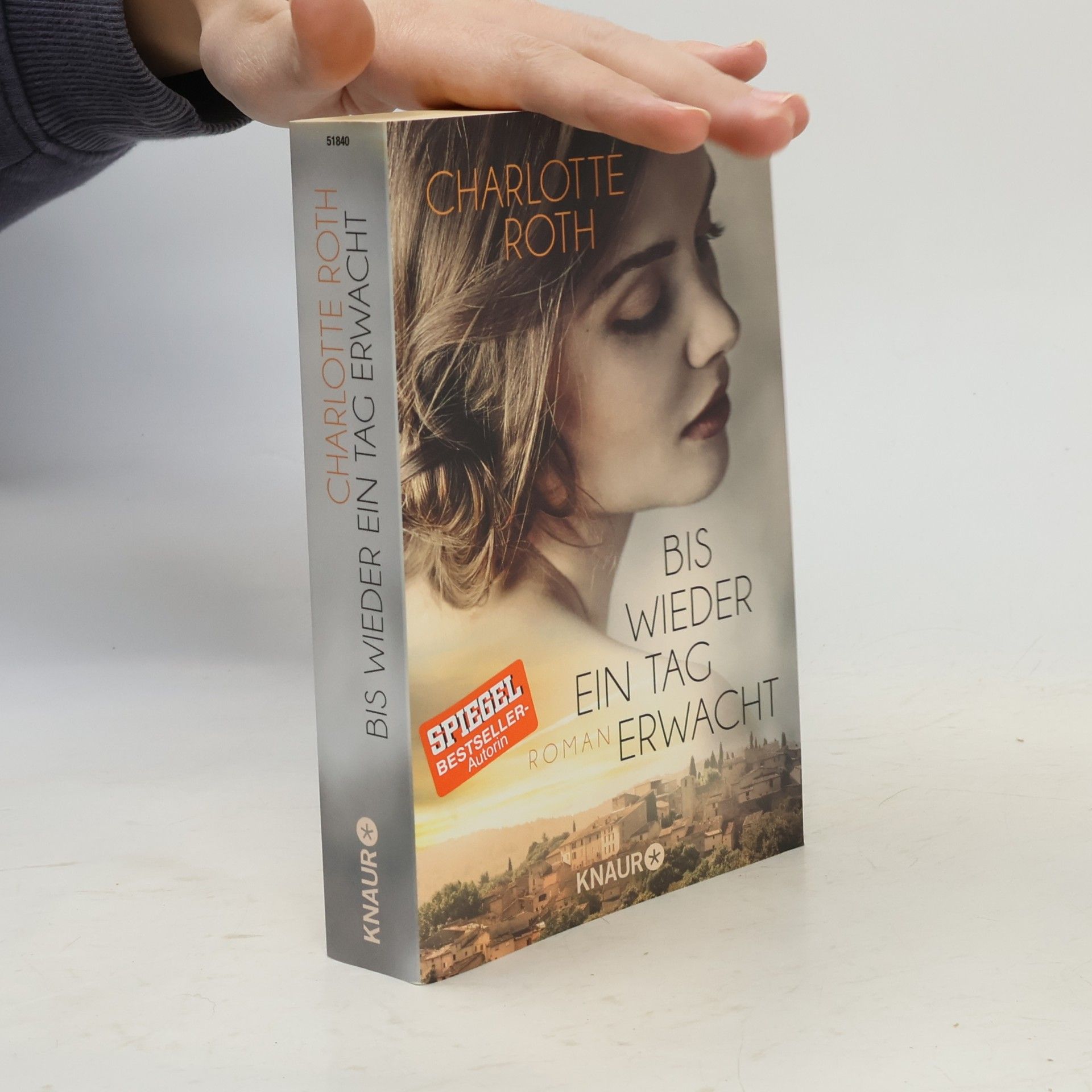 Charlotte Roth Bis wieder ein Tag erwacht