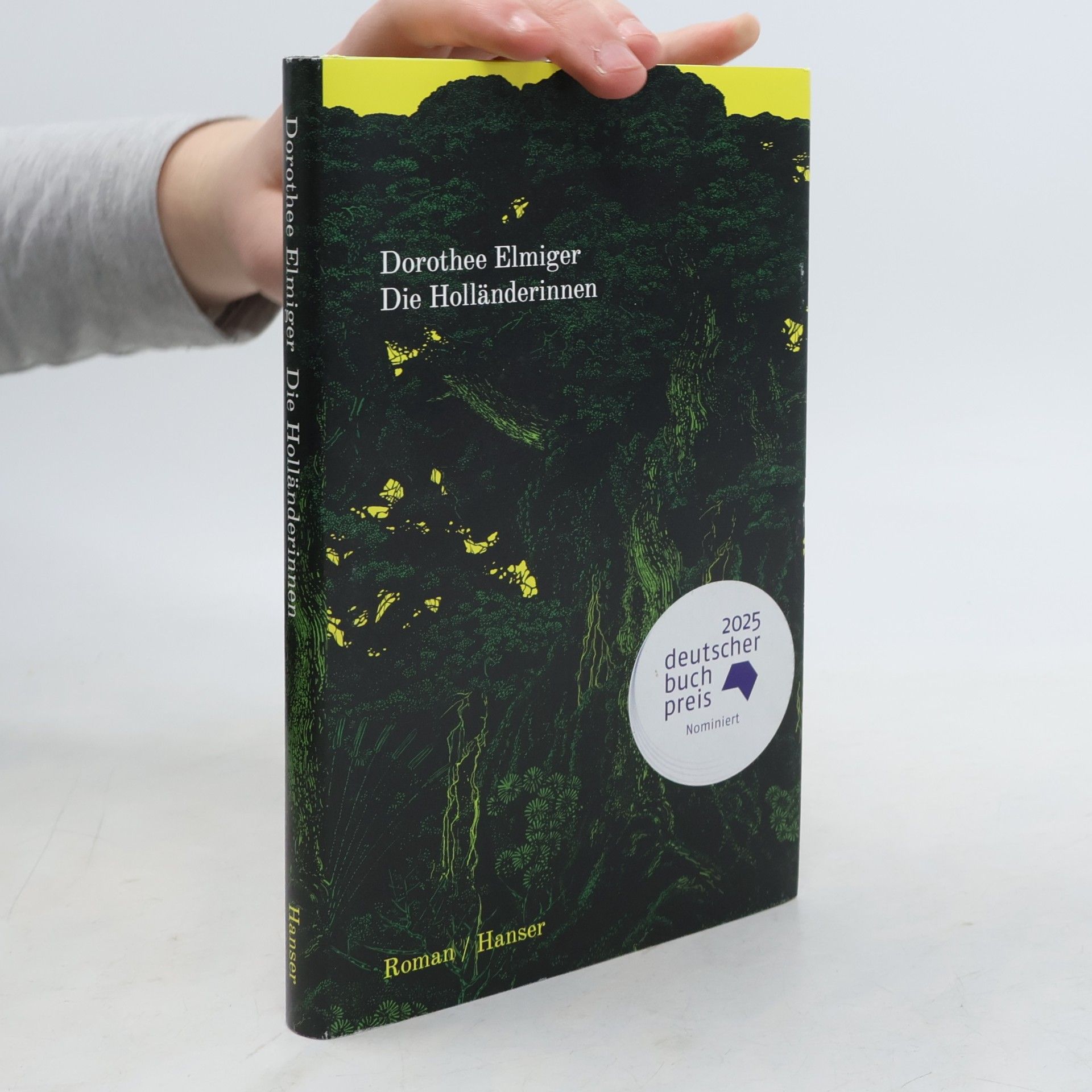 Dorothee Elmiger Die Holländerinnen