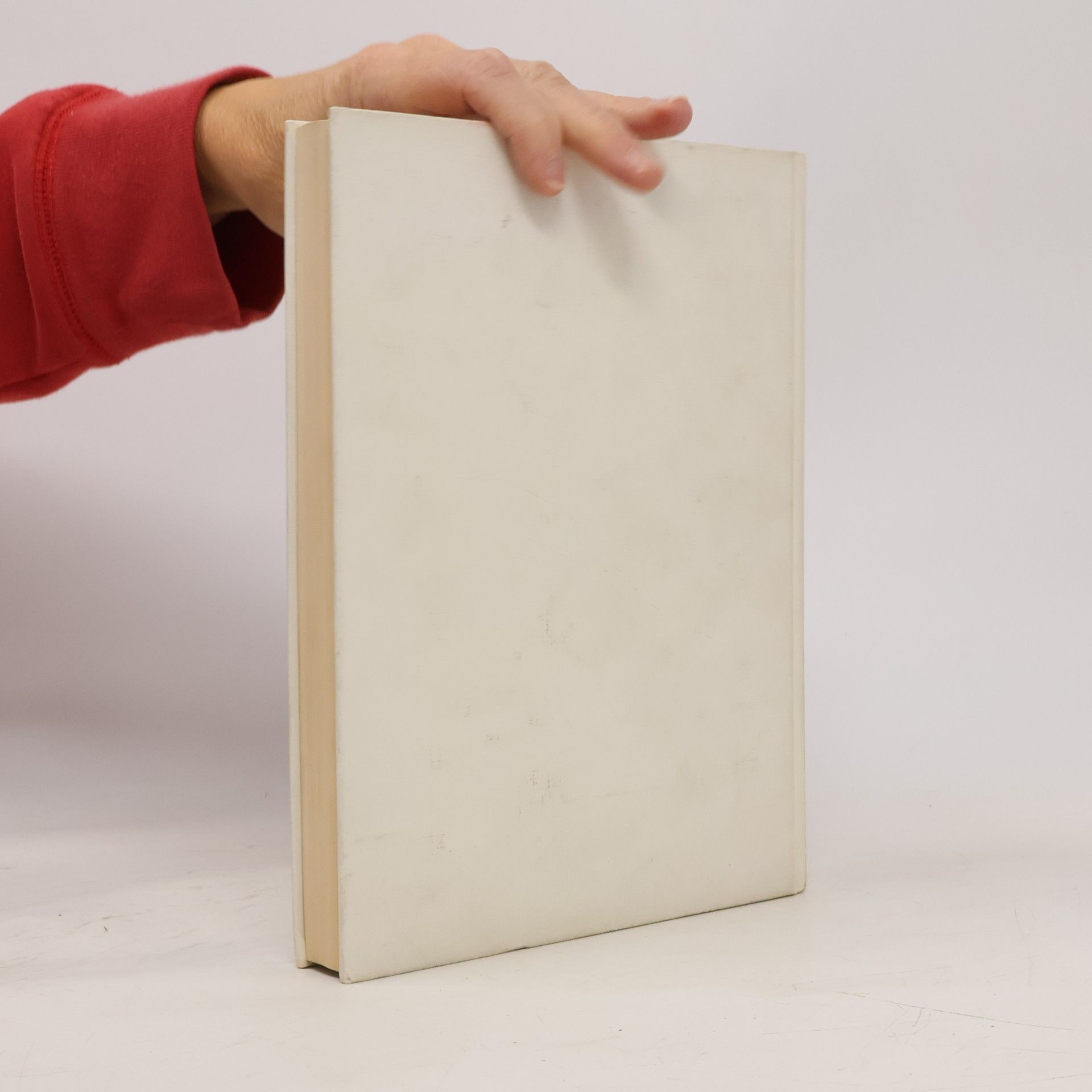 Kolektiv autorů Das große Weihnachtsbuch