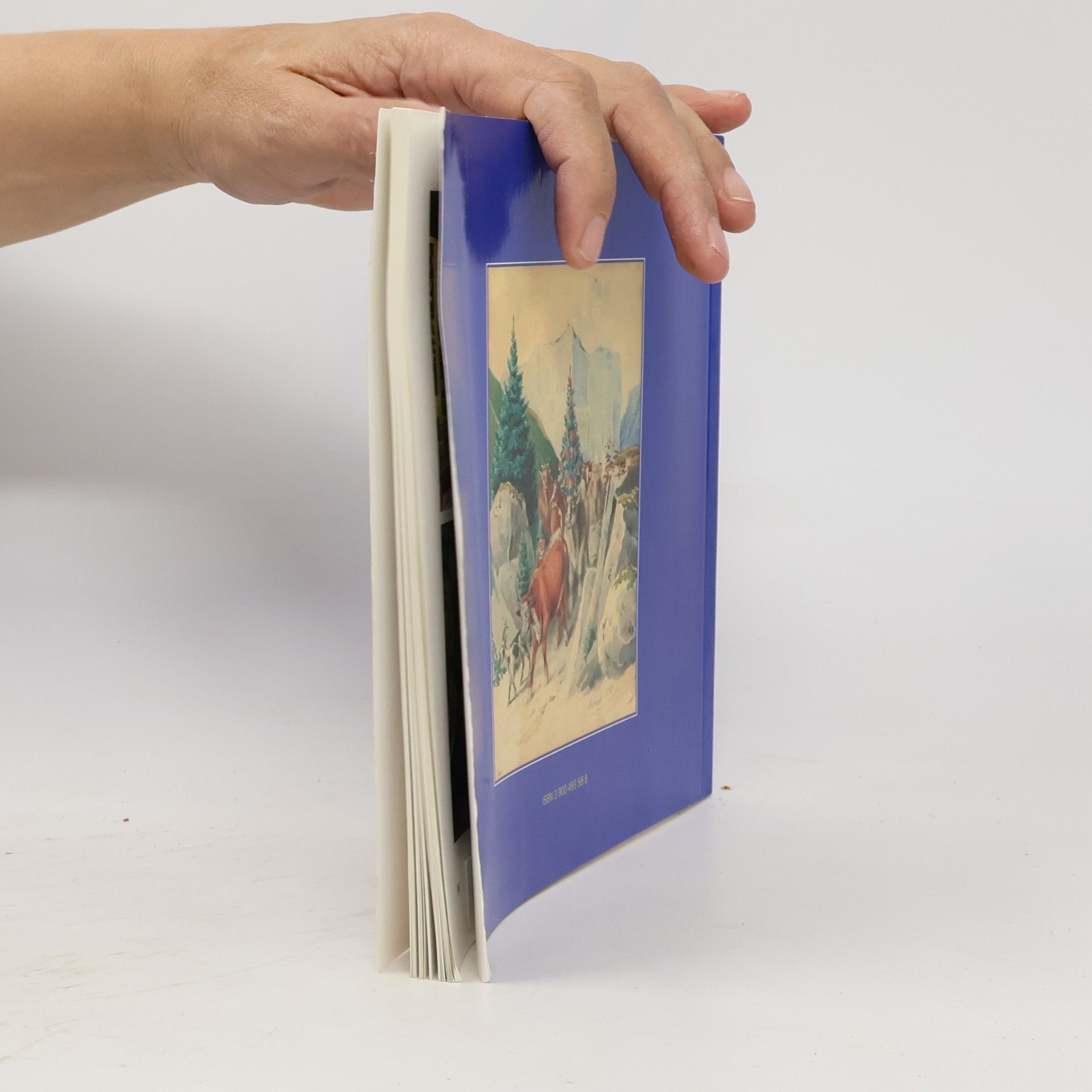 Bodo Hell Kleine Schriften des Landschaftsmuseums im Schloss Trautenfels am Steiermärkischen Landesmuseum Joanneum: Auf der Alm ...