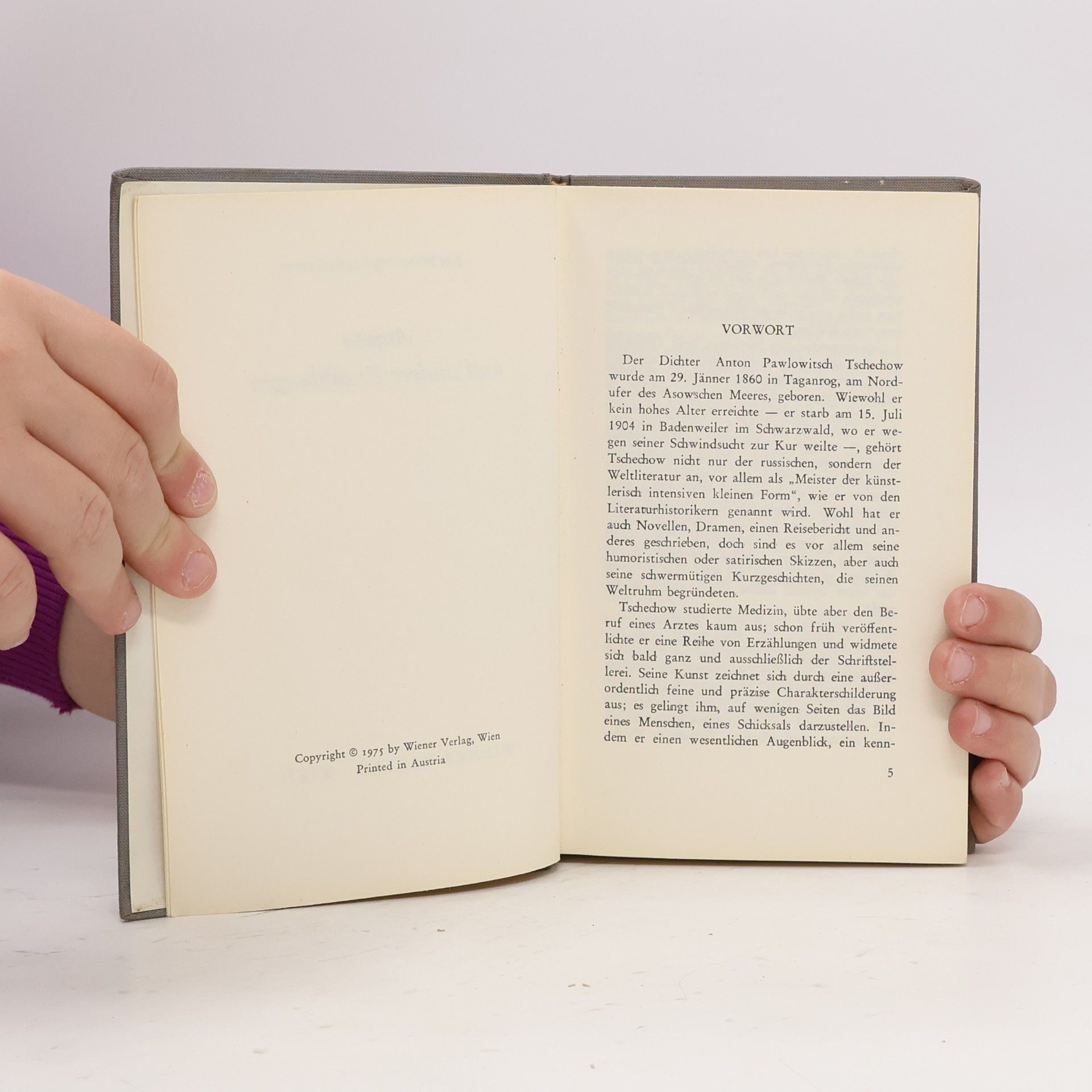 Anton Chekhov Anjuta und andere Erzählungen