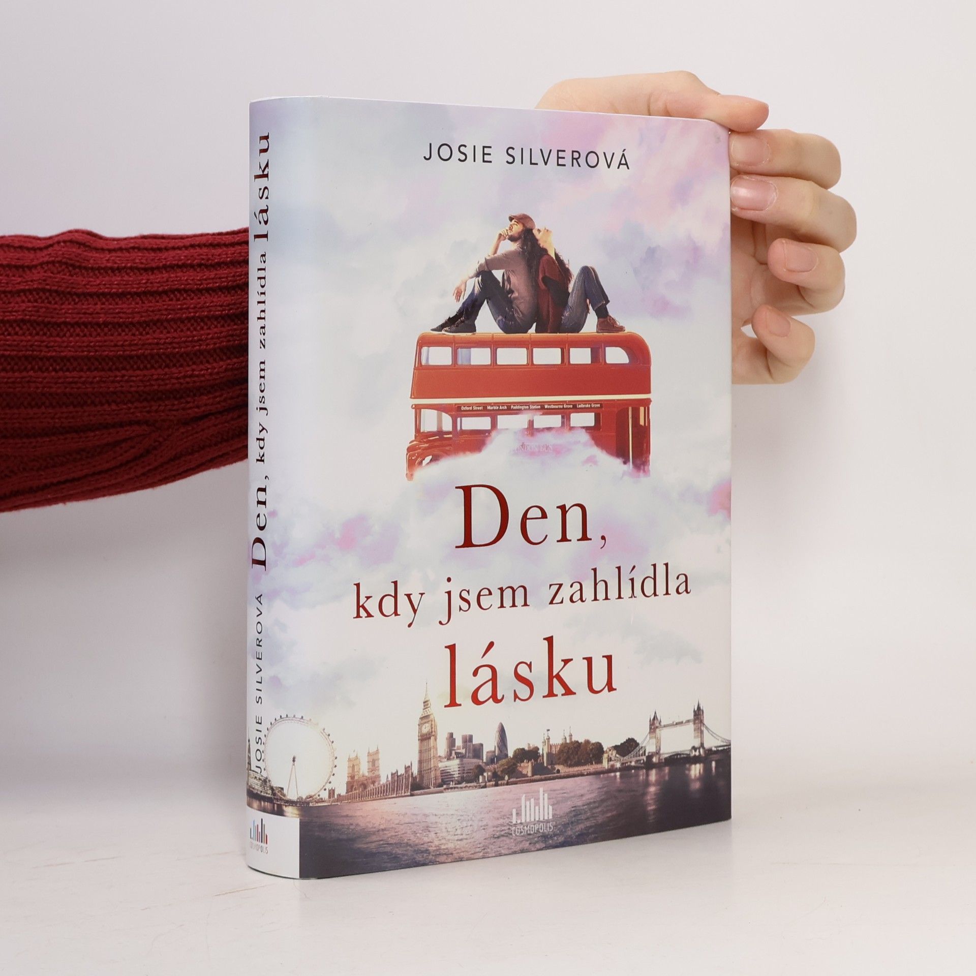 Josie Silver Den, kdy jsem zahlídla lásku