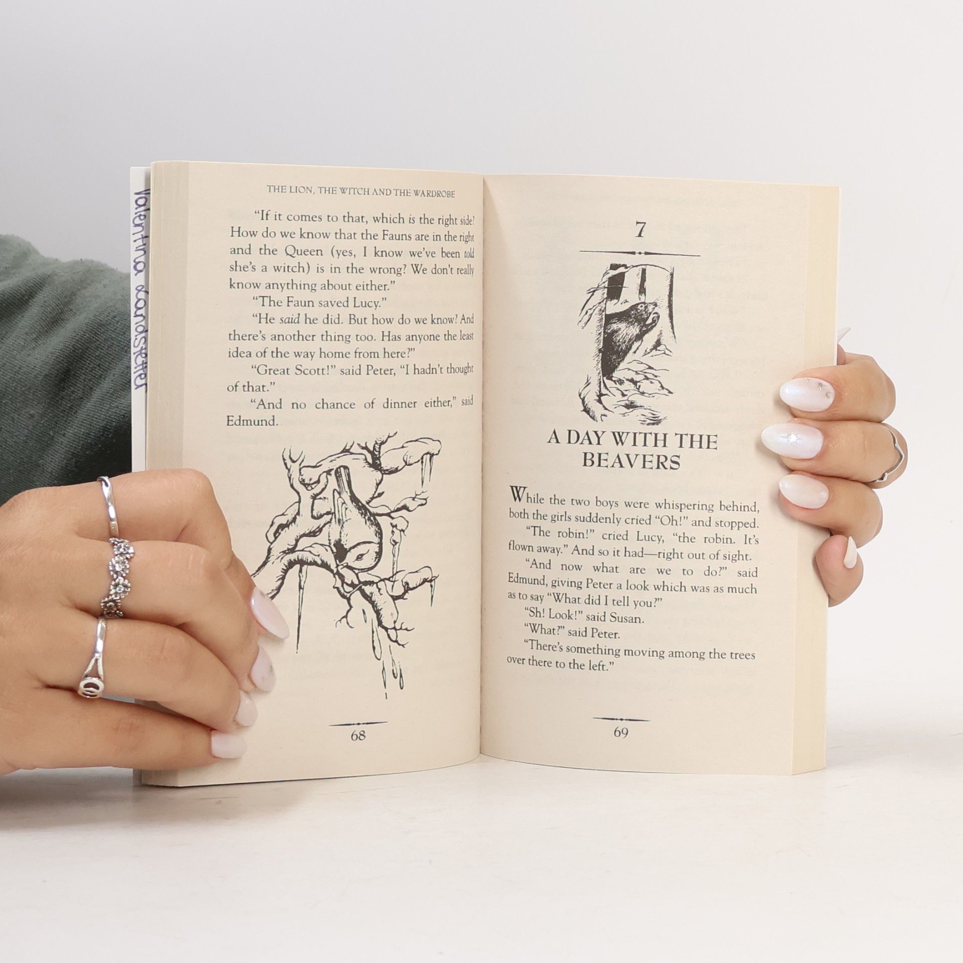 Clive Staples Lewis The Chronicles of Narnia. Book 2, The Lion, the Witch and the Wardrobe