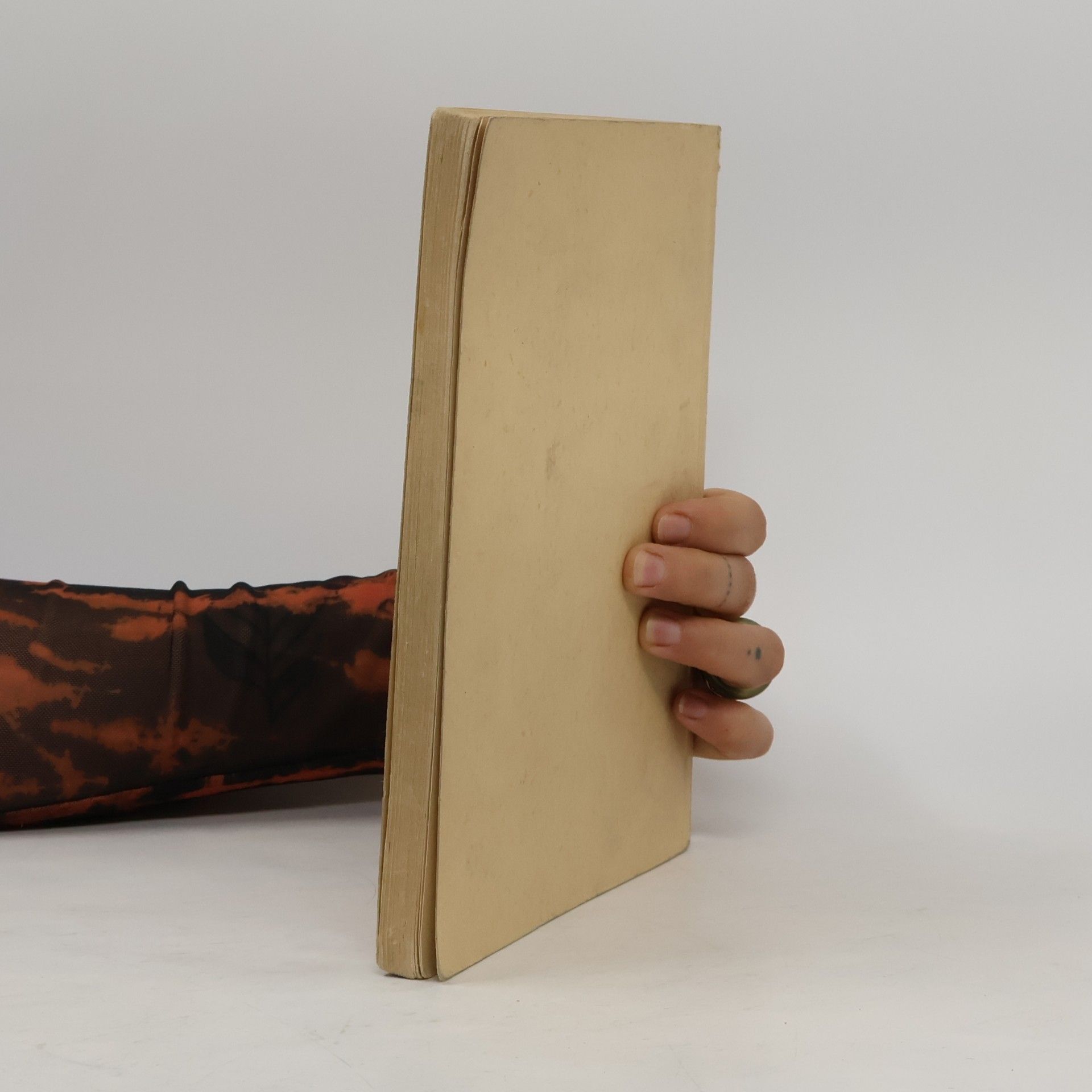 Werner Mittelbach Sprachbuch für das Arbeitsleben