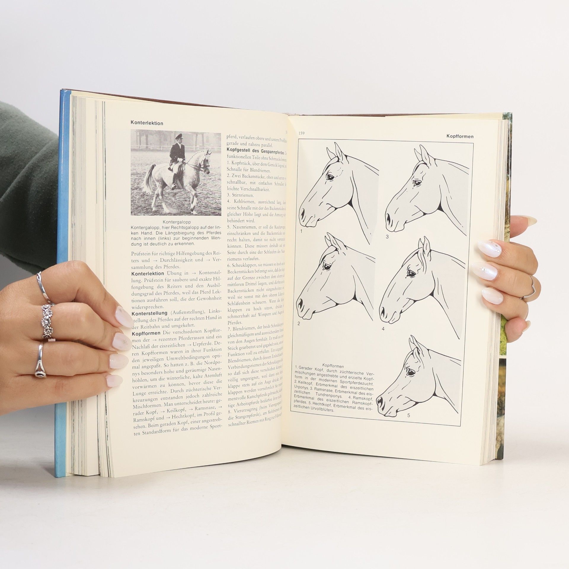 Gerhard Kapitzke Pferdesport von A - Z