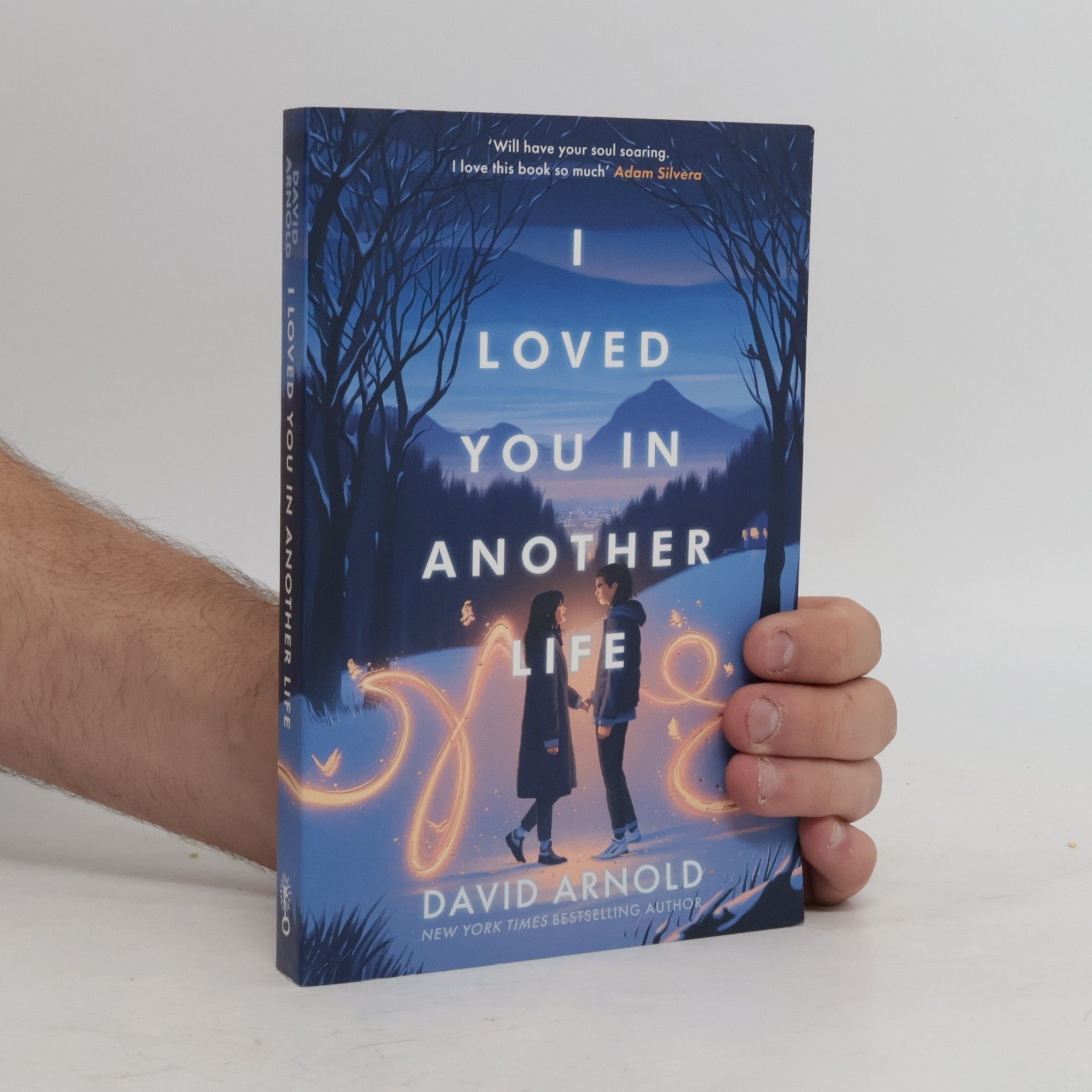 I Loved You In Another Life