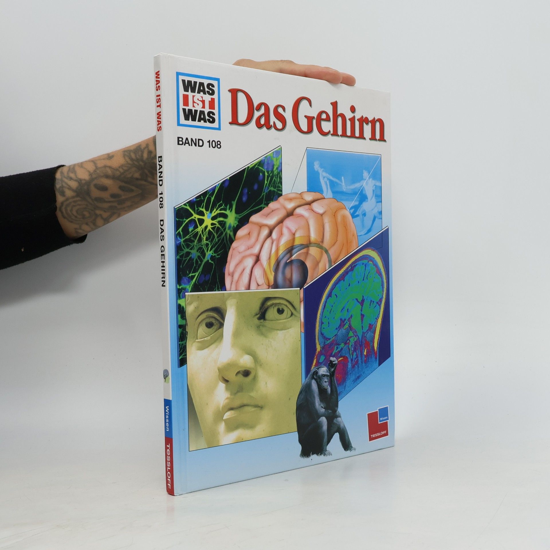 Das Gehirn