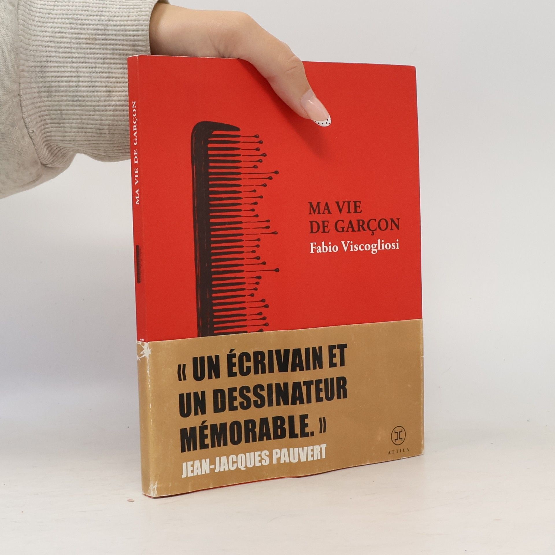 Fabio Viscogliosi Ma vie de garçon