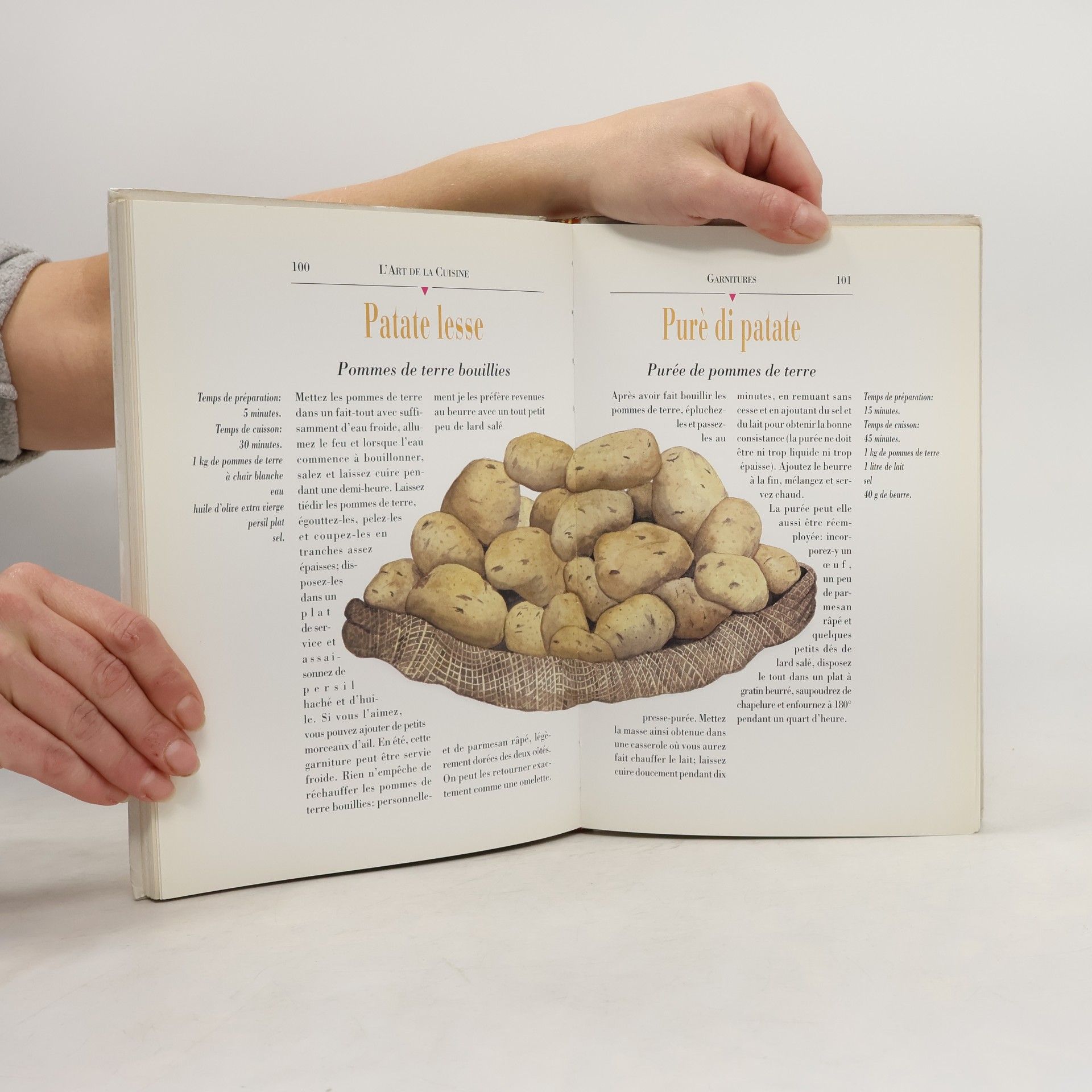 Sandra Rosi Florence: L'art de la cuisine
