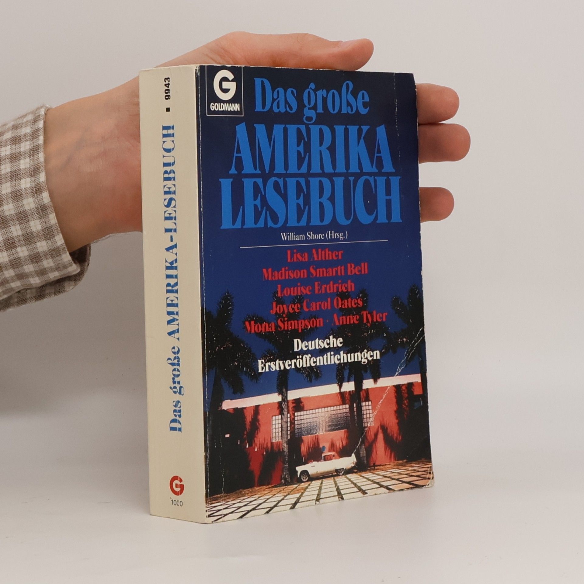 Das grosse Amerika-Lesebuch