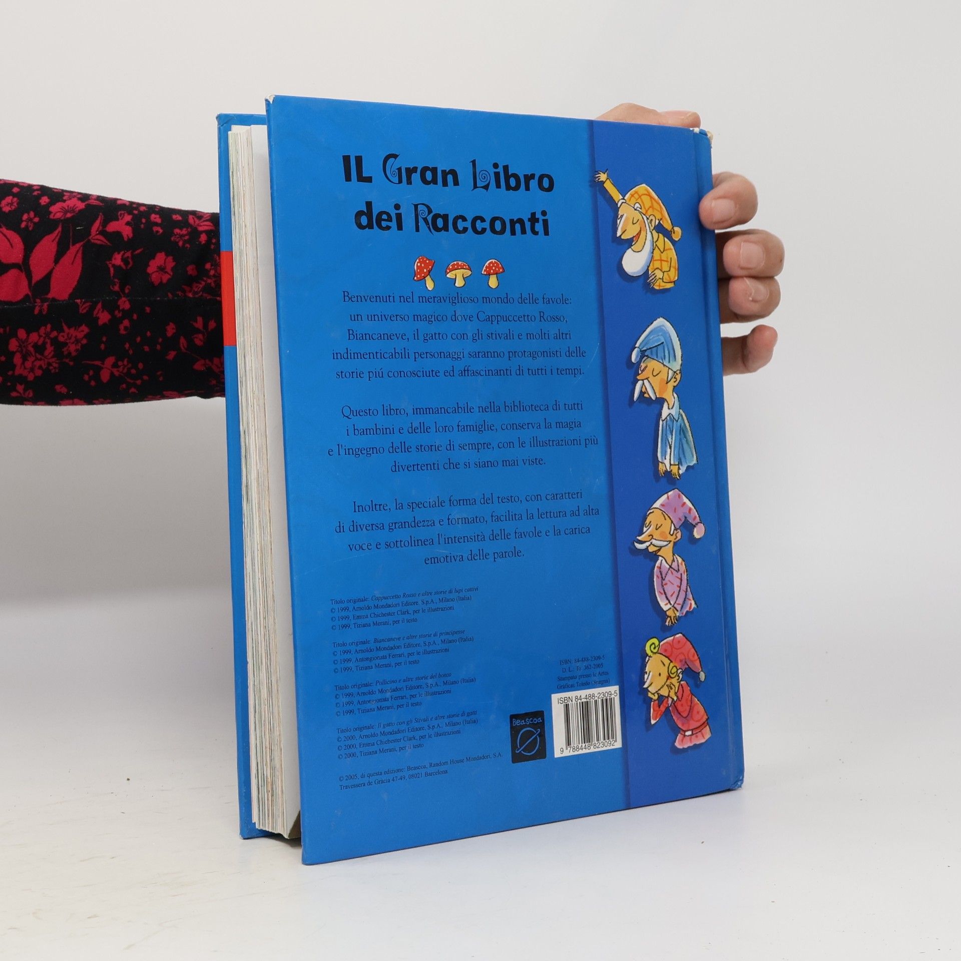 Emma Chichester Clark Il Gran Libro dei Racconti
