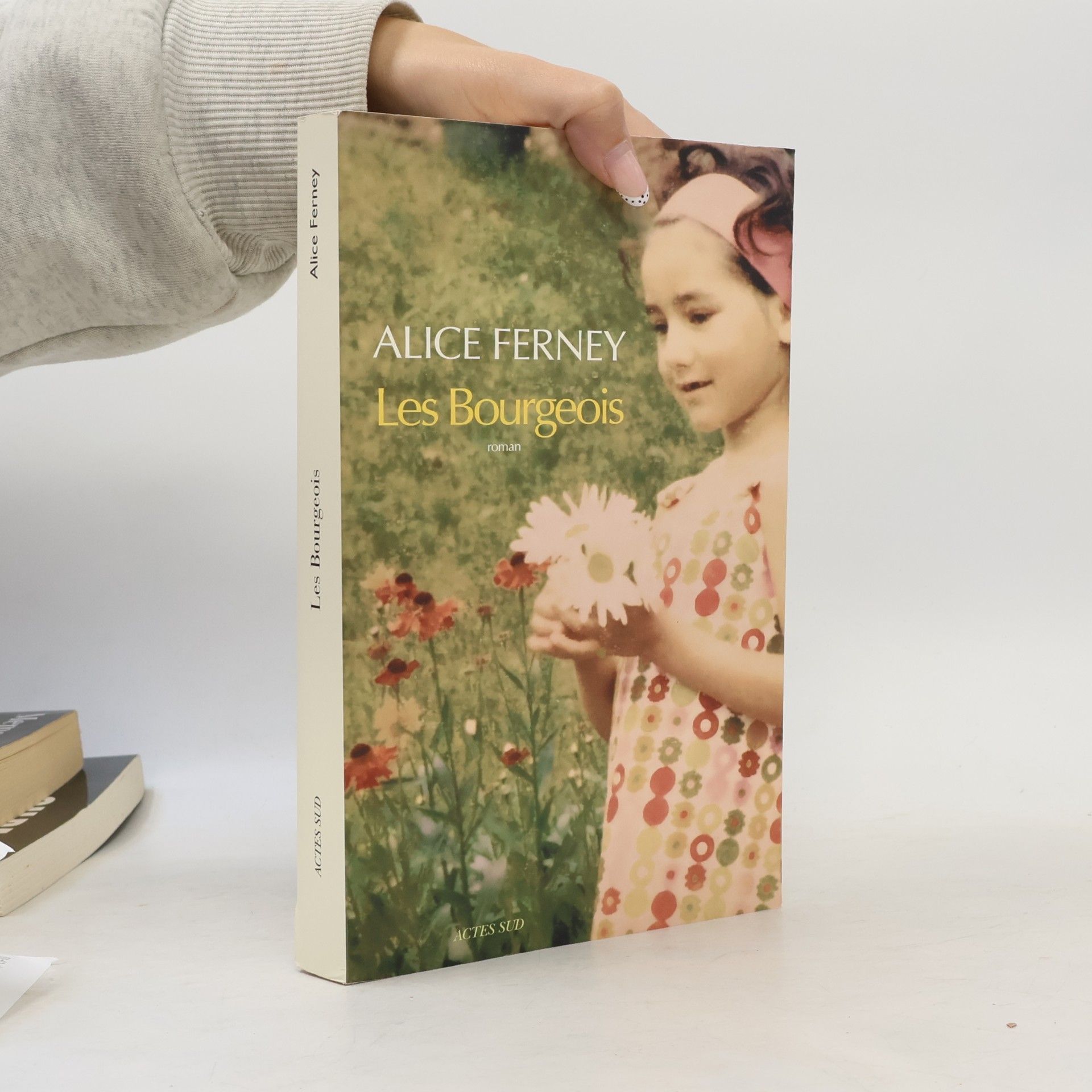 Alice Ferney Les Bourgeois