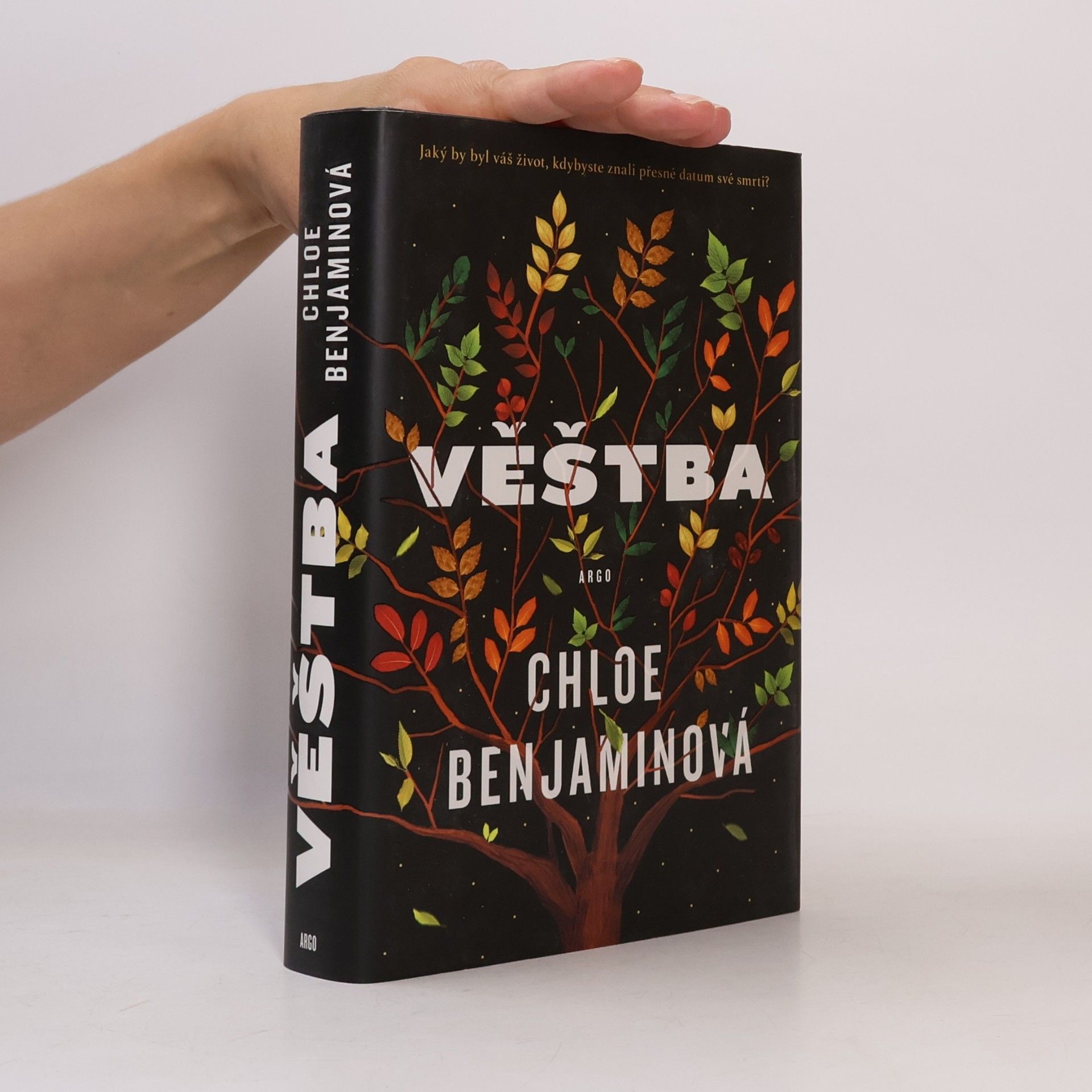 Chloe Benjamin Věštba