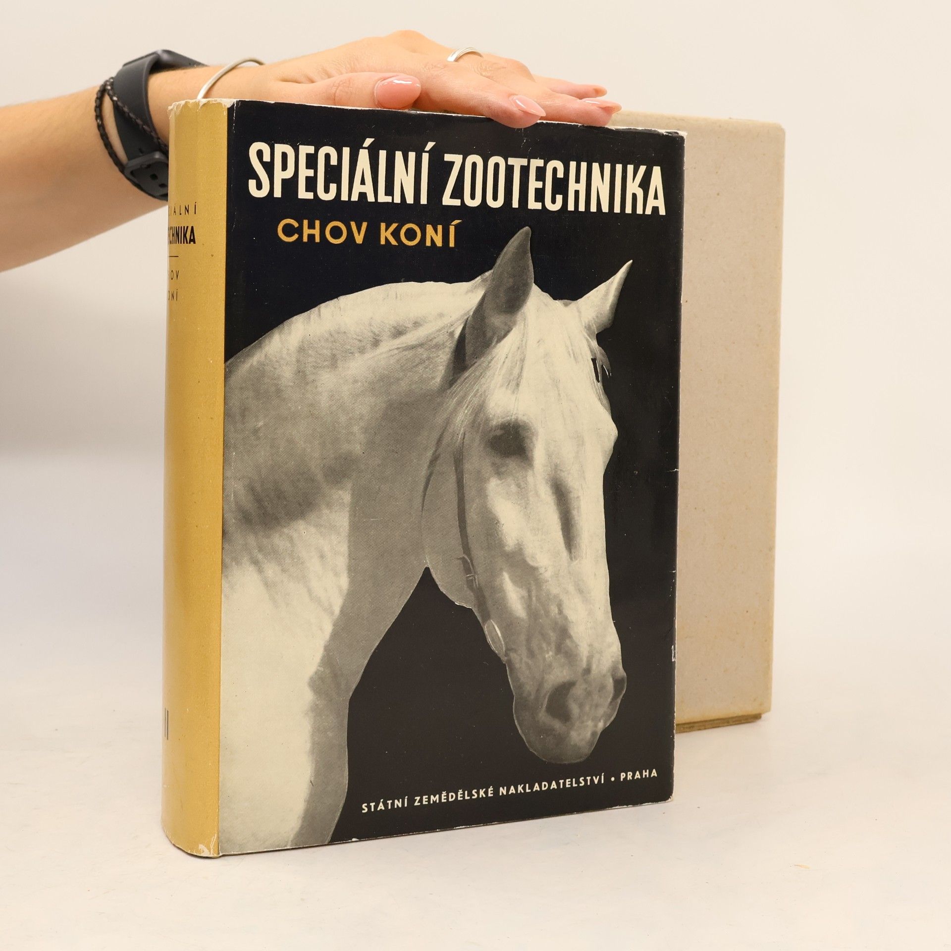 Autorenkollektiv Speciální zootechnika. Chov koní