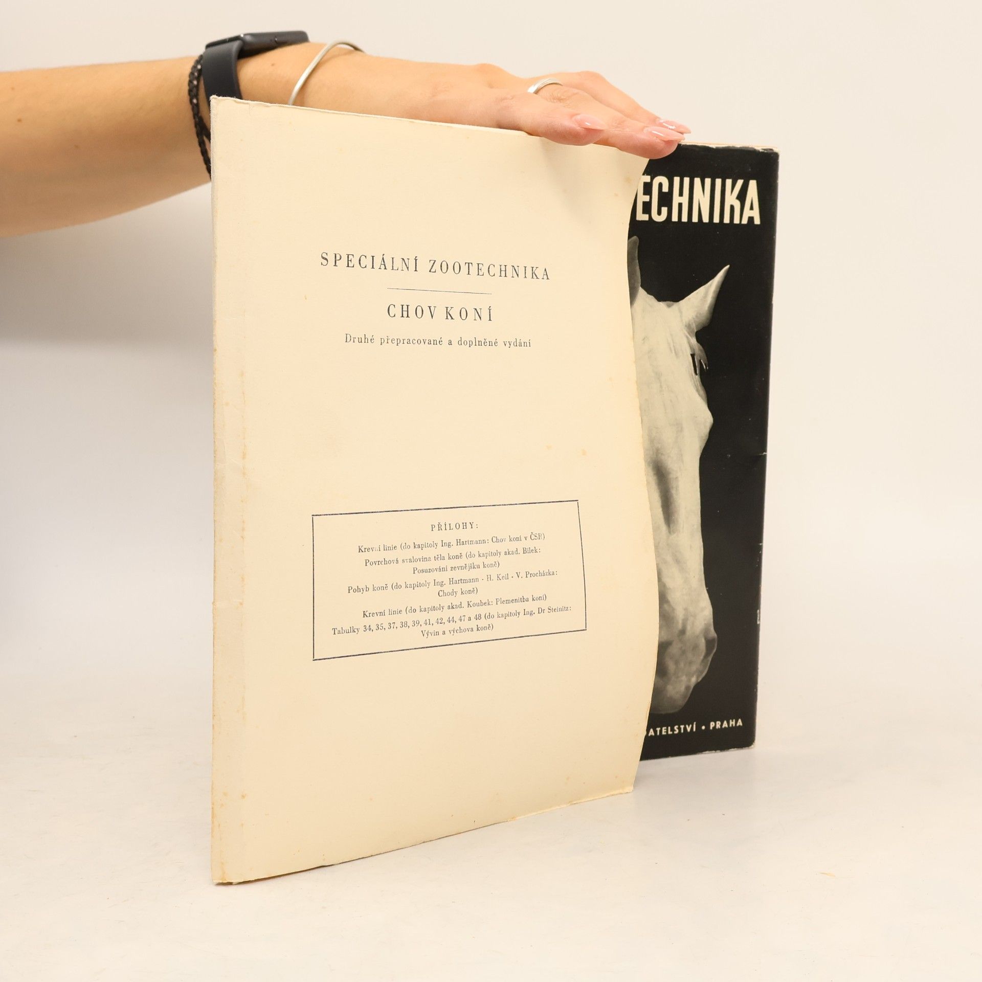 Kolektiv autorů Speciální zootechnika. Chov koní
