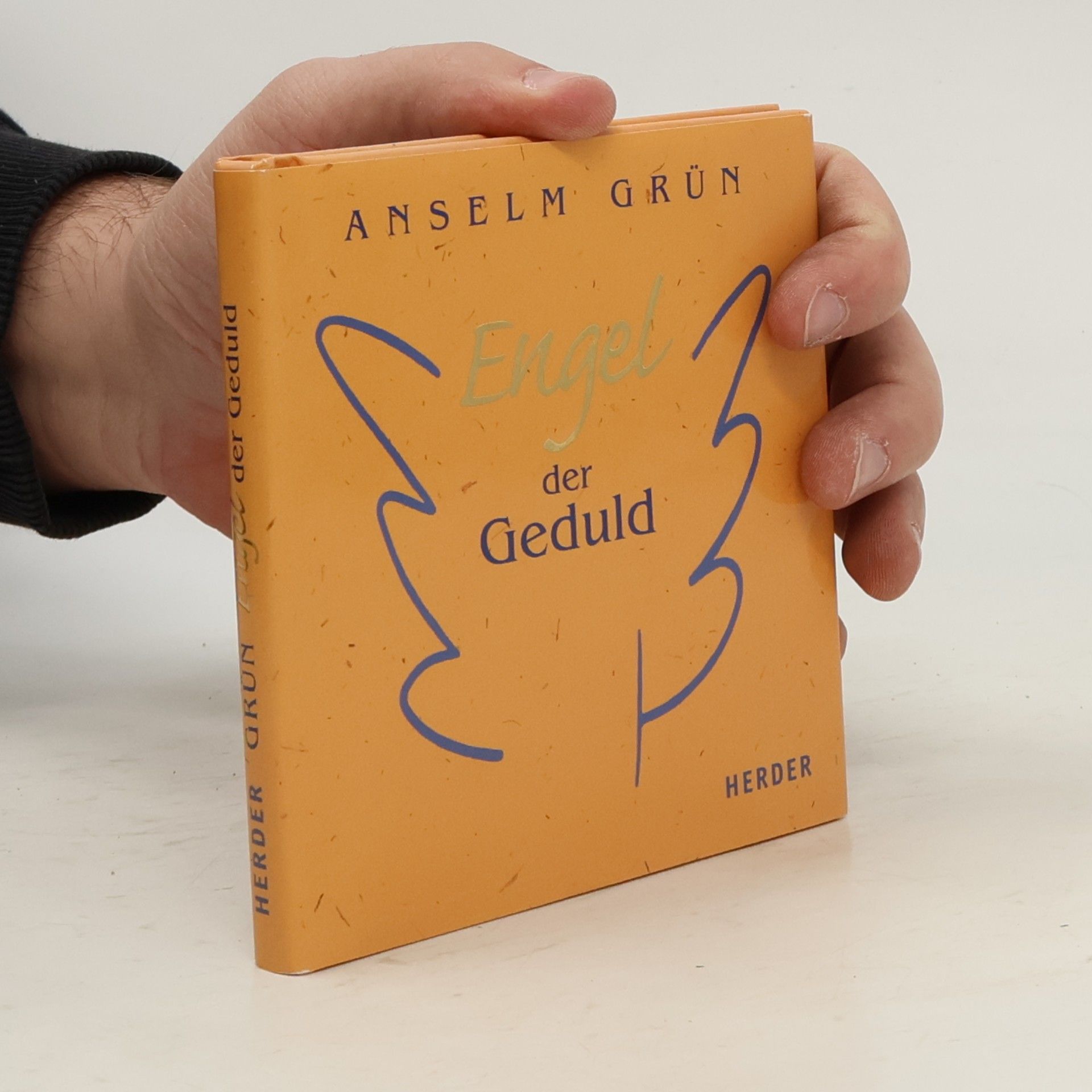 Anselm Grün Engel der Geduld