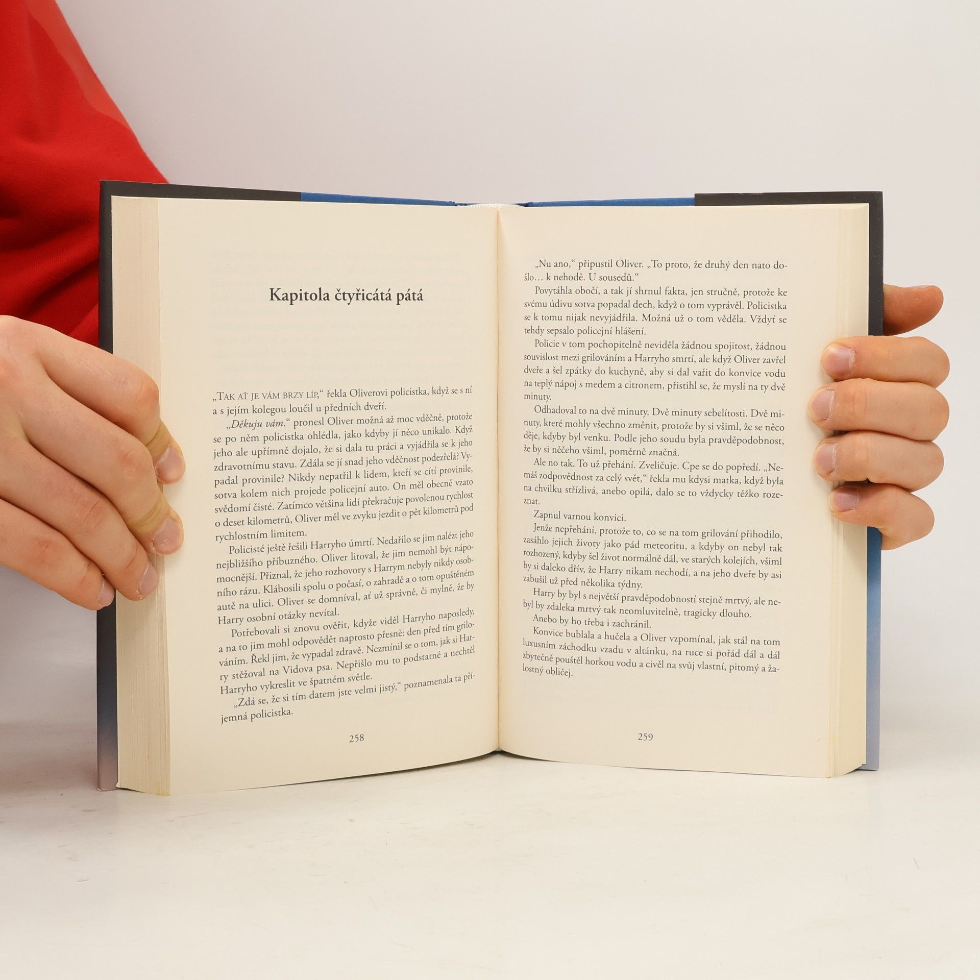 Liane Moriarty Šílené výčitky