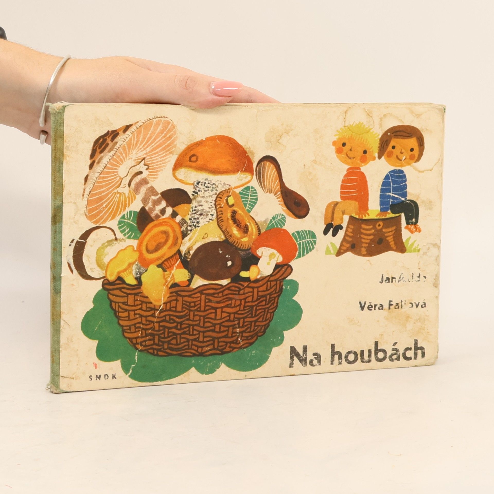 Jan Alda Na houbách