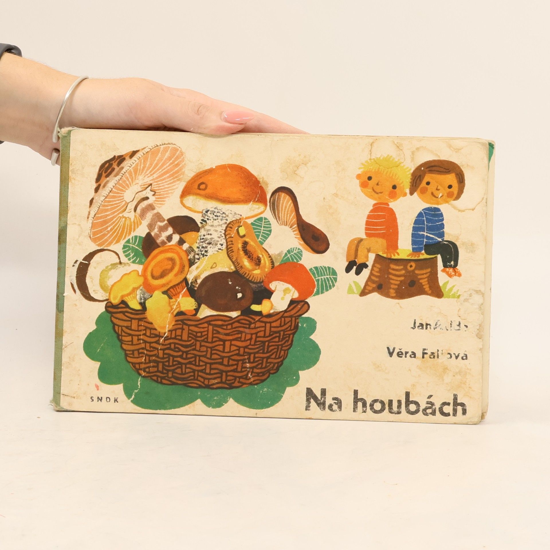 Jan Alda Na houbách