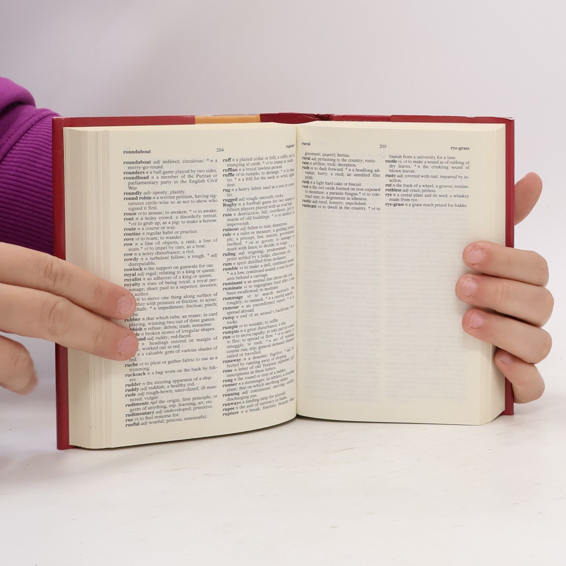 Brockhampton Reference Series (Mini Bumper): Dictionary and Thesaurus