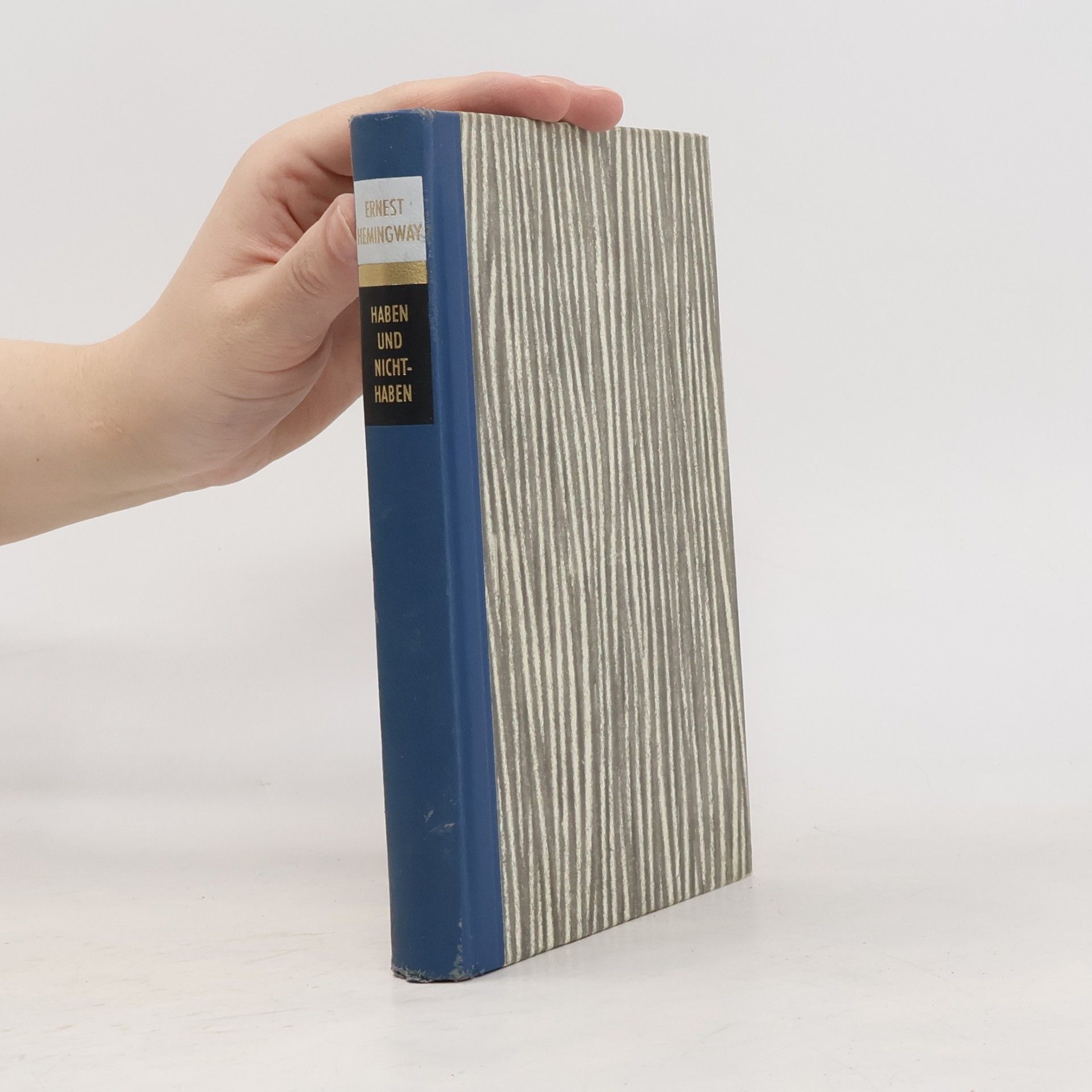 Ernest Hemingway Haben und Nichthaben