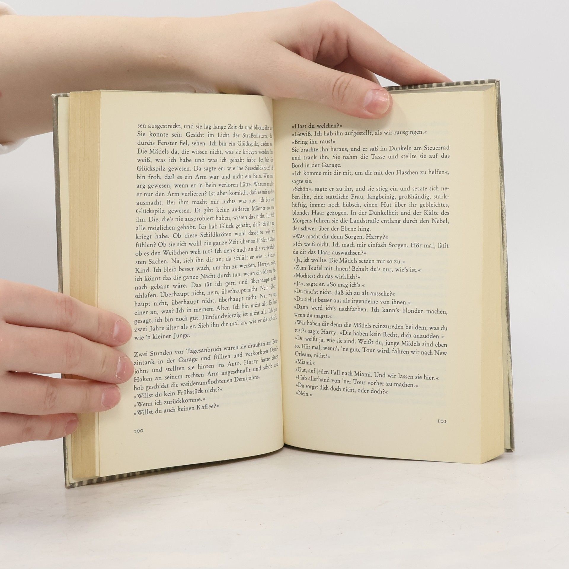 Ernest Hemingway Haben und Nichthaben