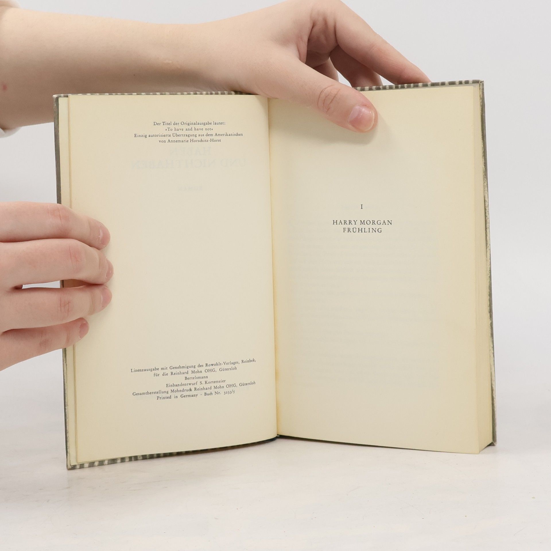 Ernest Hemingway Haben und Nichthaben