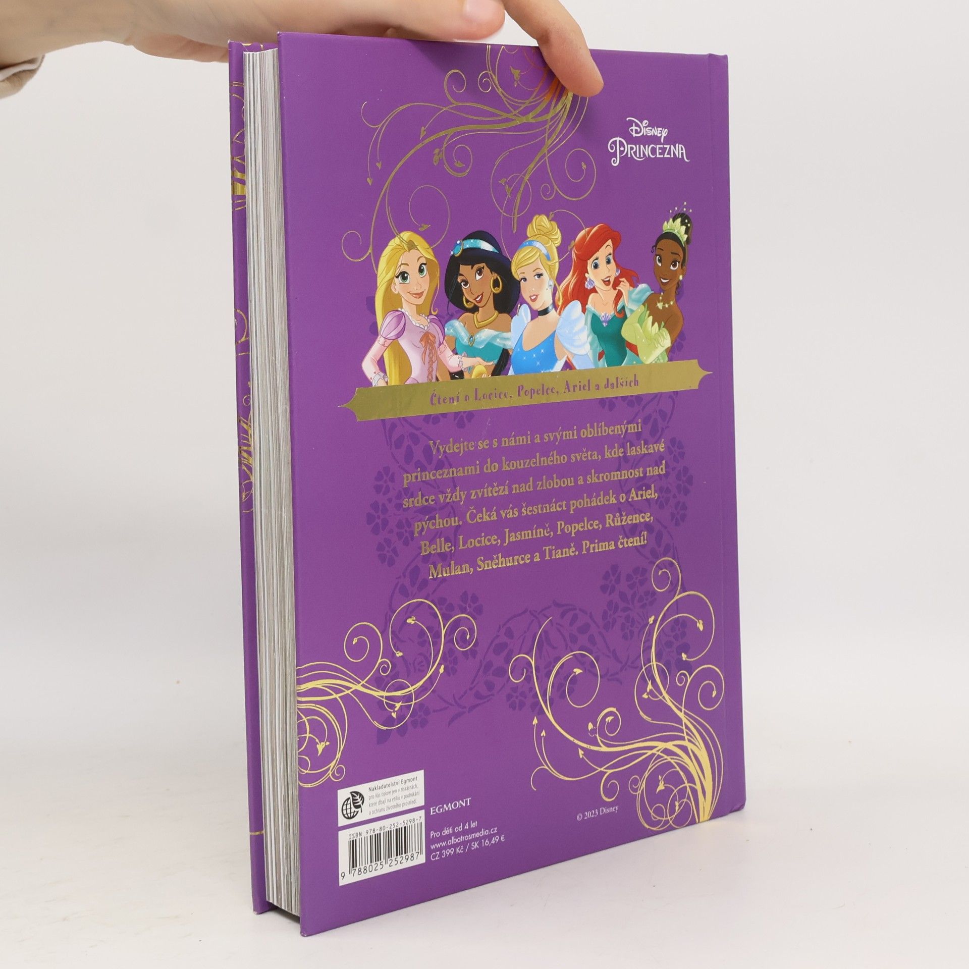 Kolektiv autorů Disney : Princezna : Velká kniha pohádek
