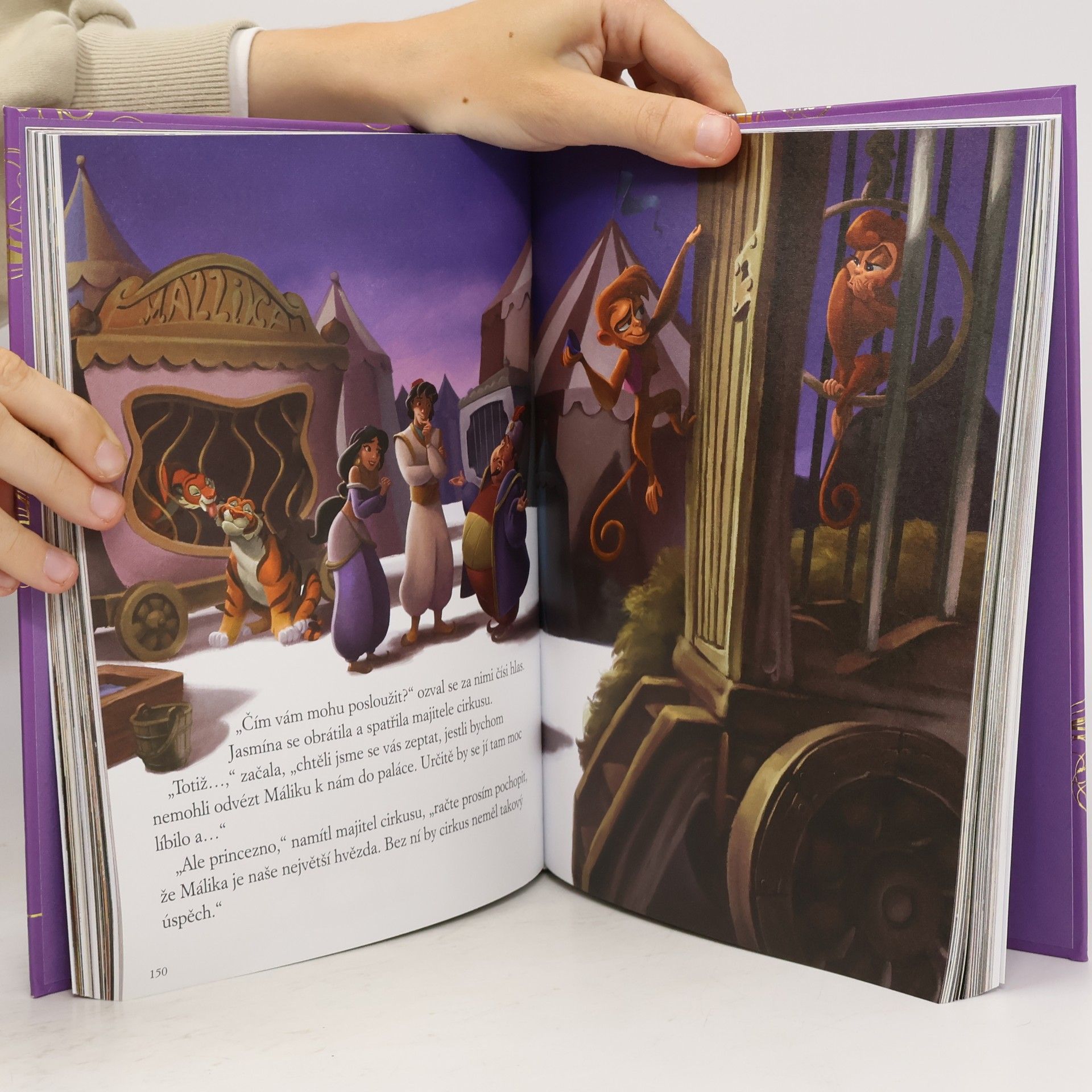 Kolektiv autorů Disney : Princezna : Velká kniha pohádek