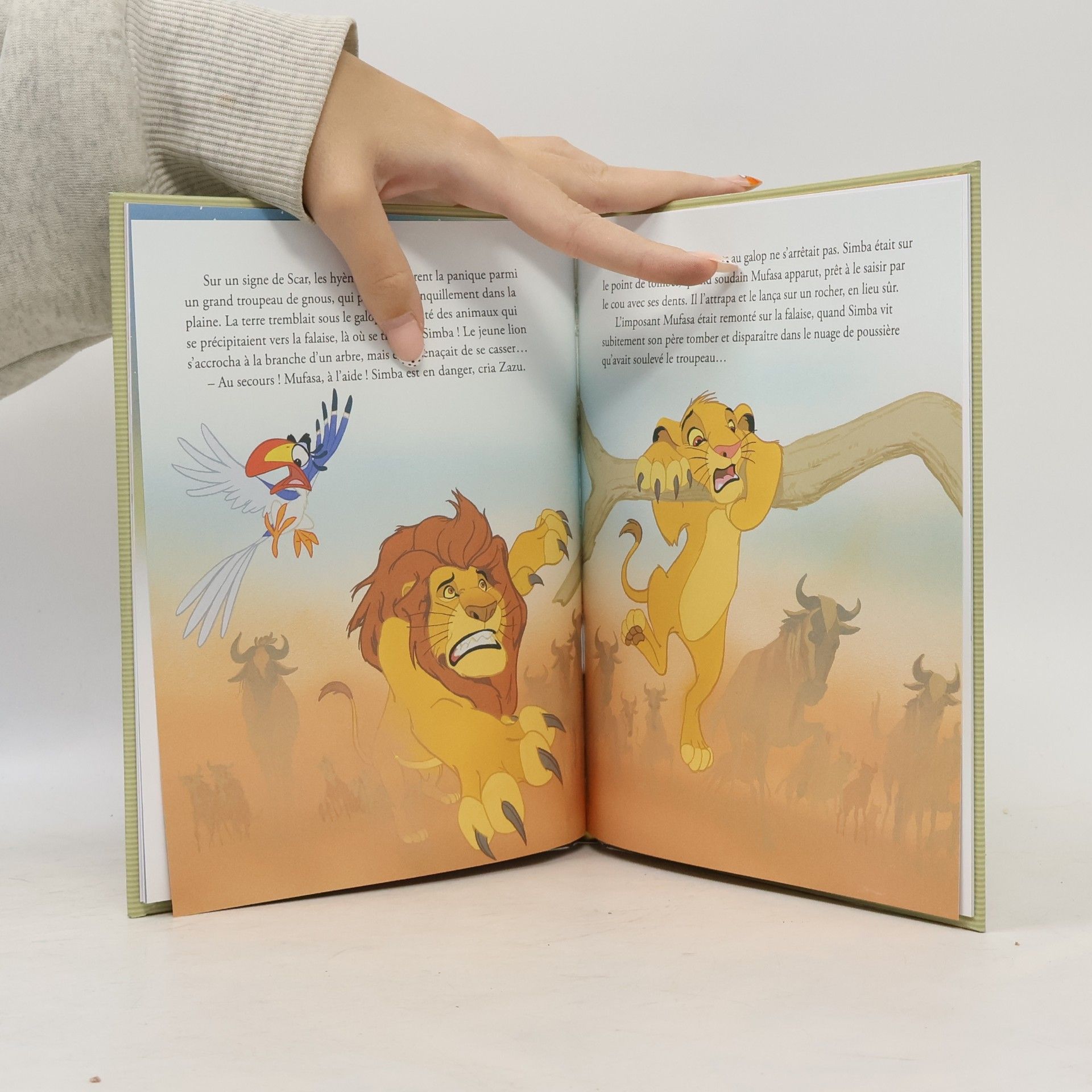 Autorenkollektiv Le Roi Lion