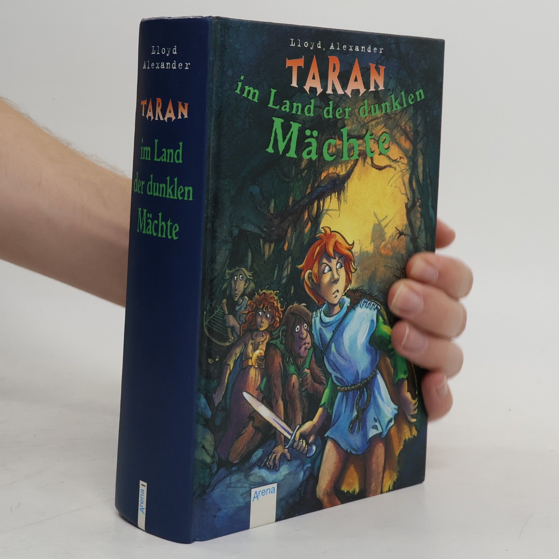 Lloyd Alexander Taran im Land der dunklen Mächte