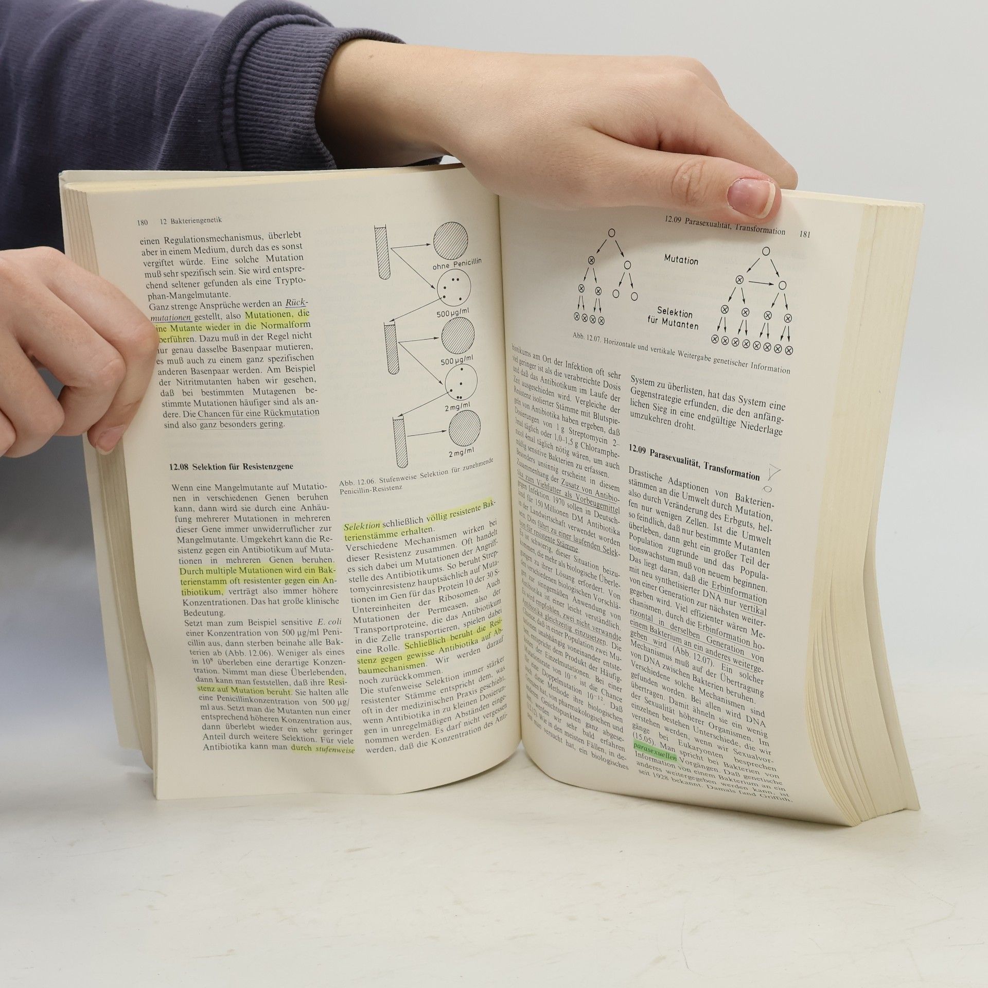 Konrad Bachmann Biologie für Mediziner