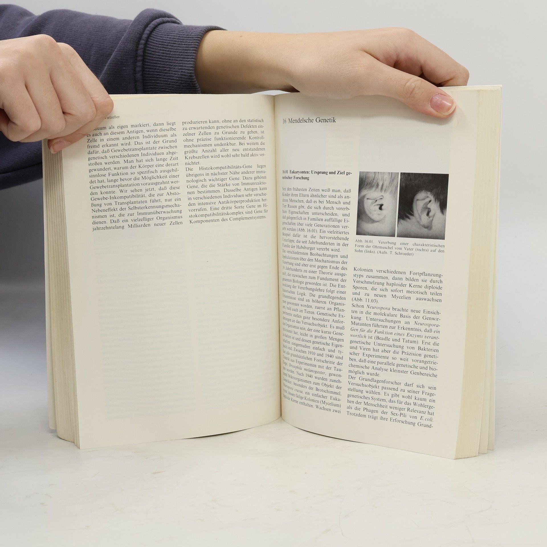 Konrad Bachmann Biologie für Mediziner