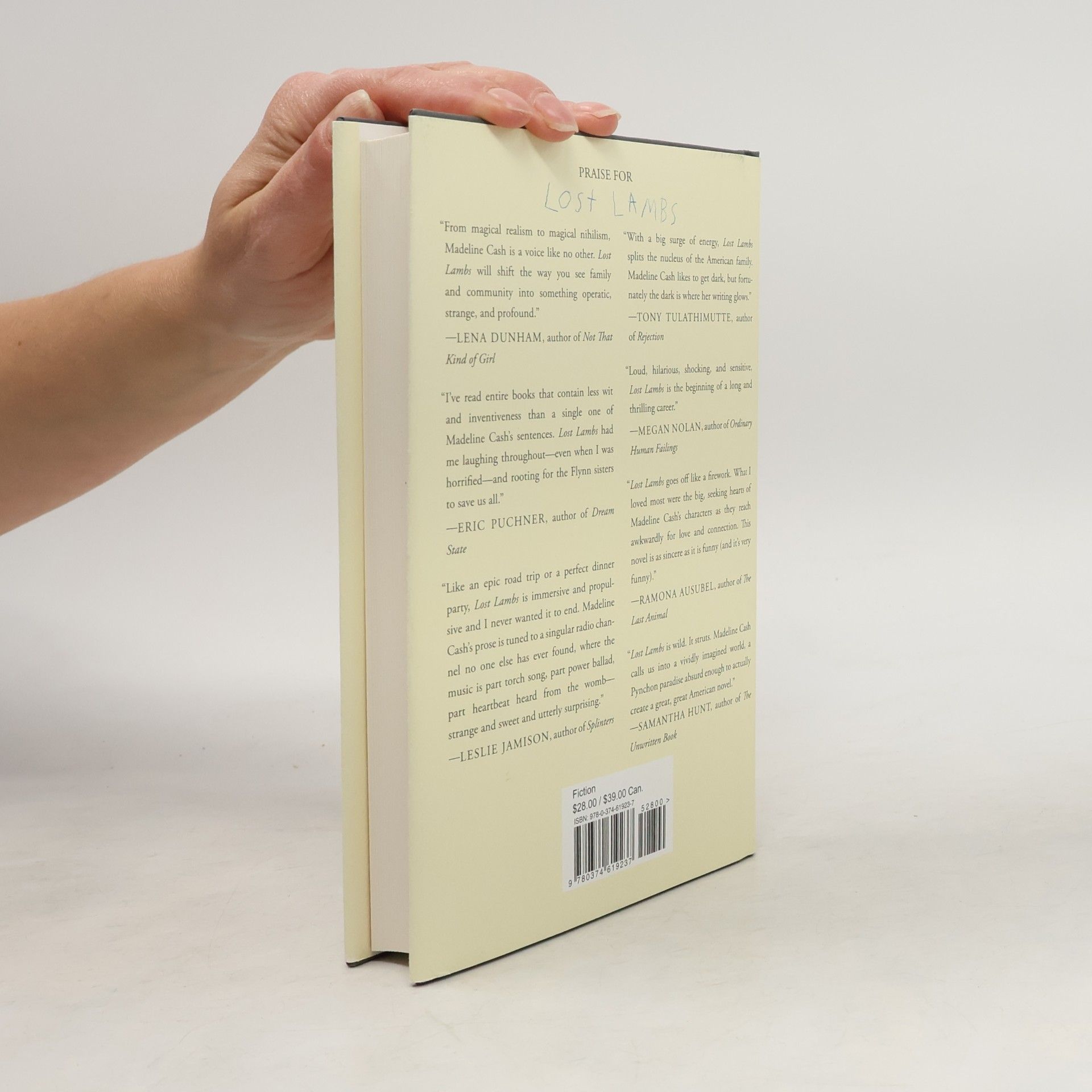 Madeline Cash Lost Lambs: A Novel
