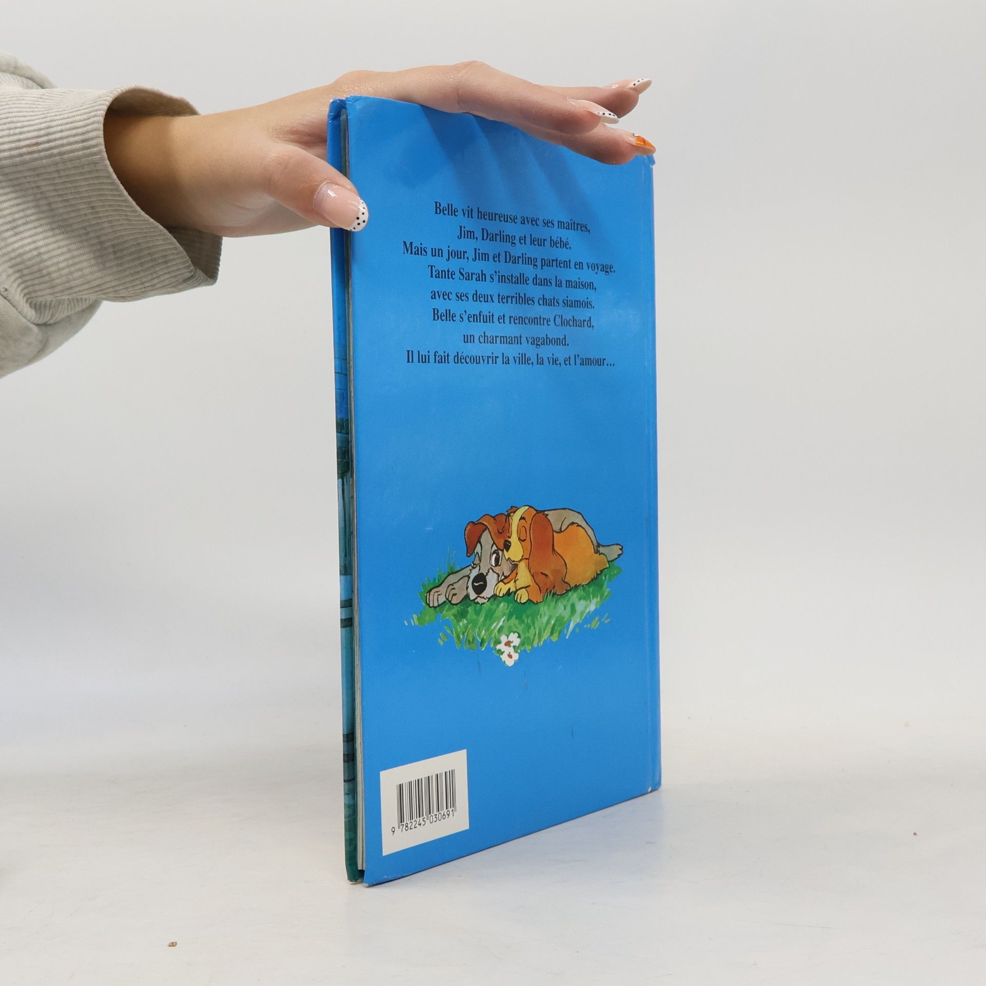 Autorenkollektiv La Belle et le Clochard