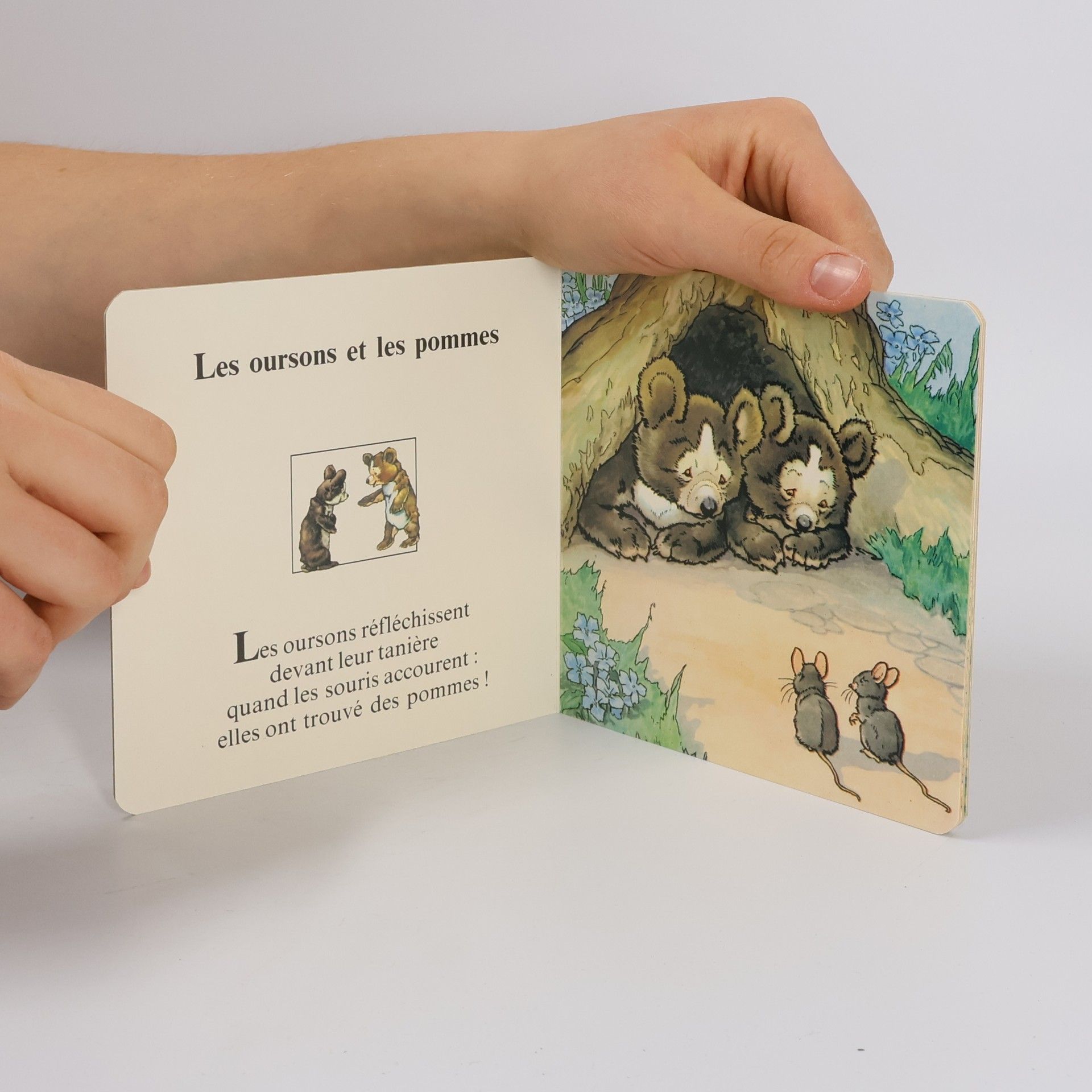 Mora Dolorès L'ecole des petits poussinsL'ecole des petits poussins